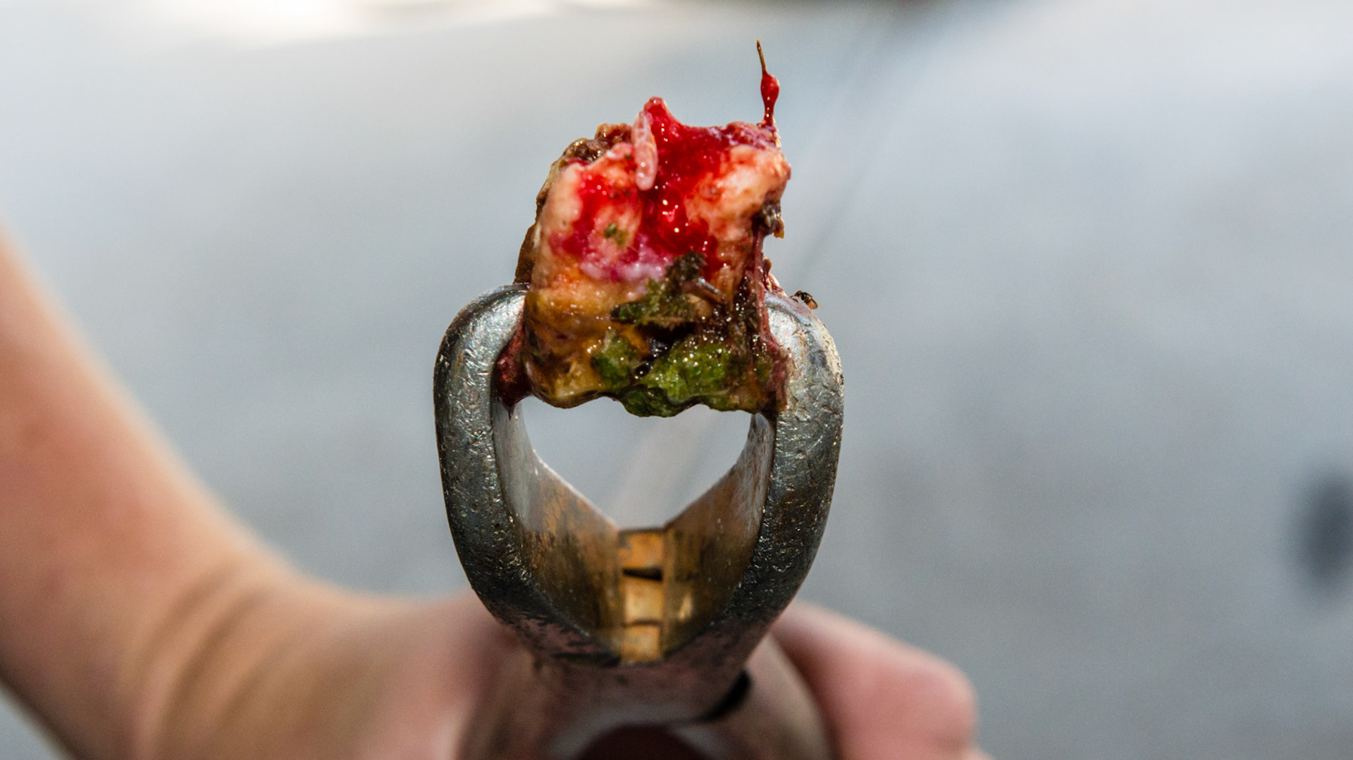 #211 in a 24 year old pony. Malodor and loose when filed. Non-painful and was extracted with these upper cap pullers without any pain medication. Extracted because of odor and he had already lost 111 and 110 and he lives a day away.