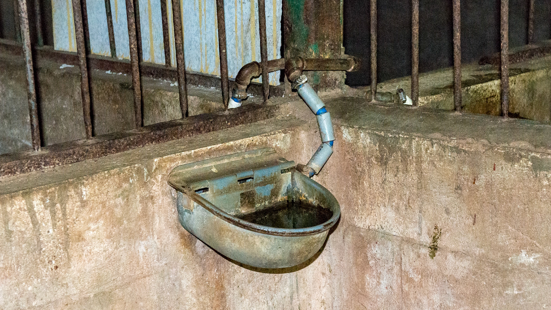 Centralized auto-waterers. These are convenient but can be daaged by the horse. The rubber hose is a good idea because if the horse bumps the device off the wall, the pipe won't break like a plastic one would. Note there is no convenient shut off valve.