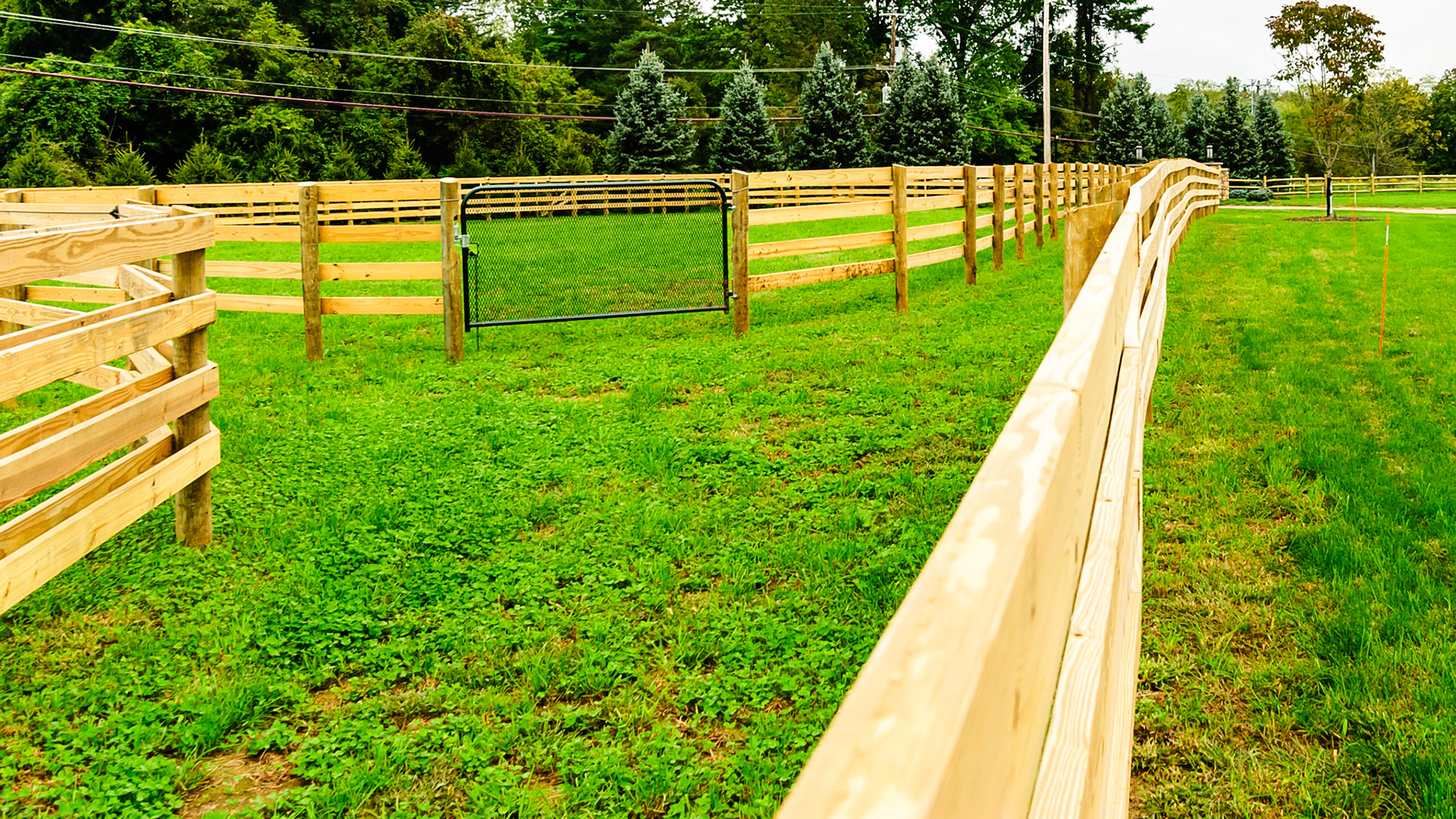 A full wire mesh gate prevents a hoof from getting through.  Note the perimeter fence separate from the paddocks in case a horse escapes it won't get to the highway on the other side of the pines.