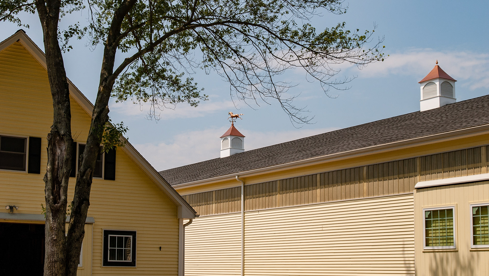 Roof vents in an arena