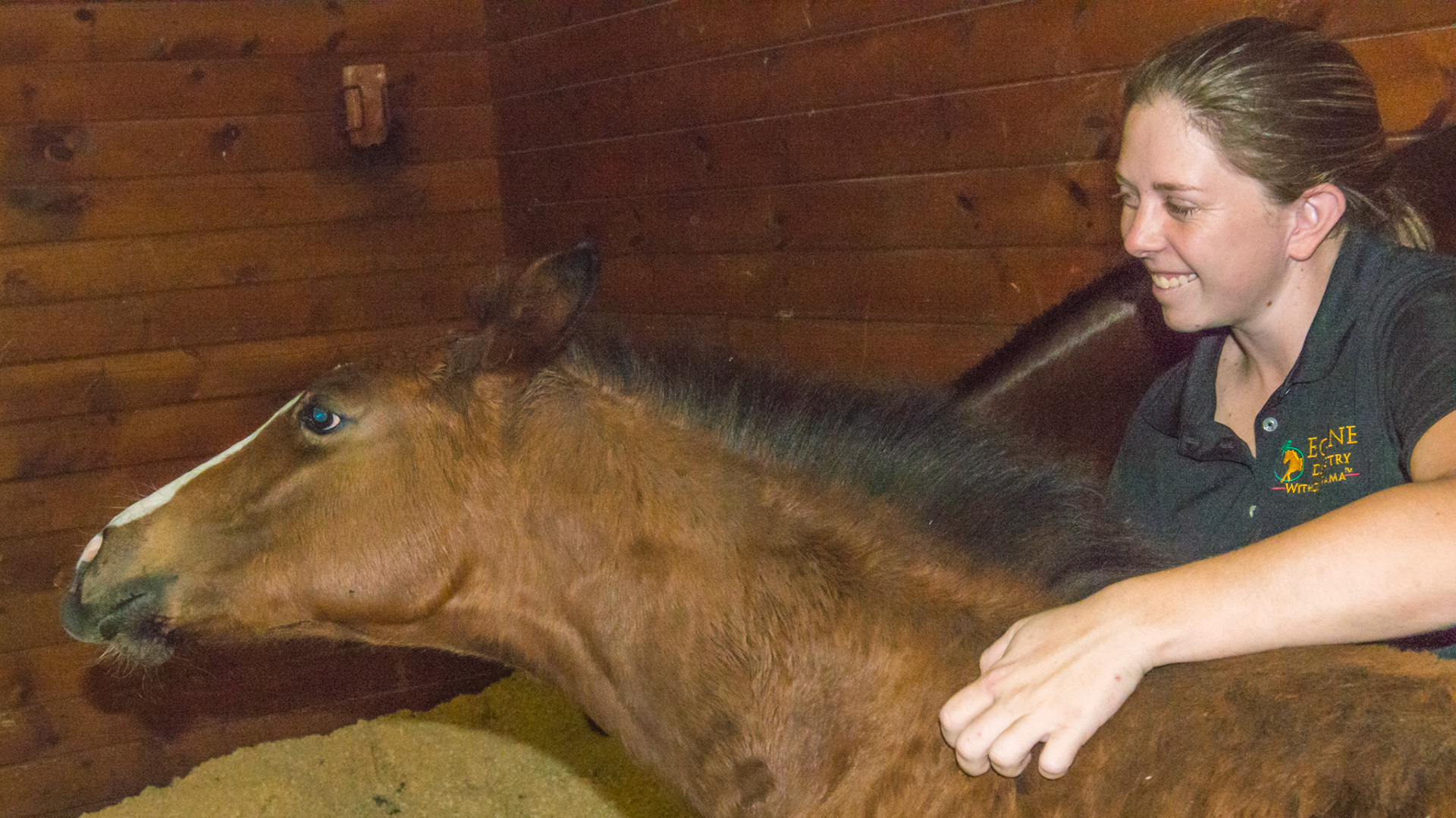 Flehmen lip curl is normal in a foal being scratched.