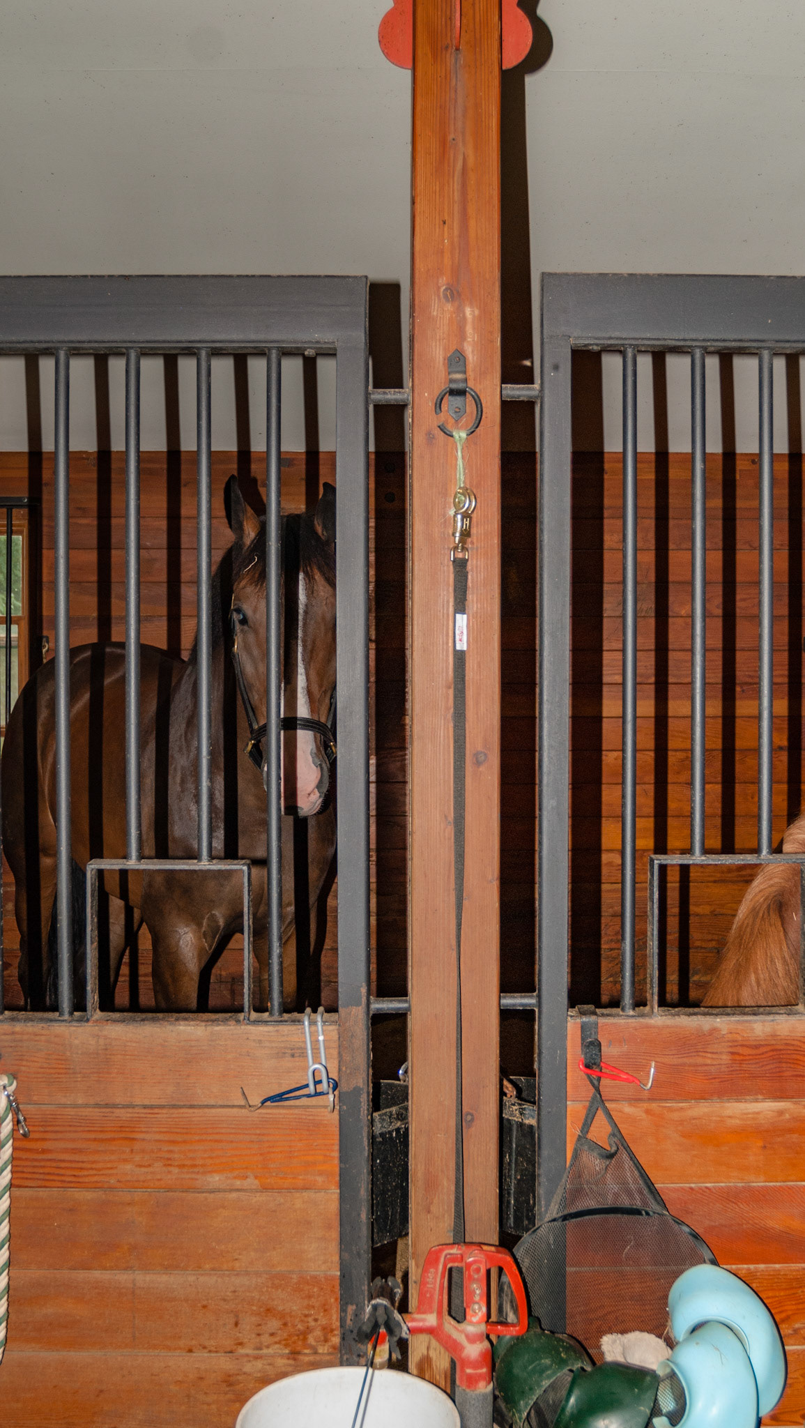 YThese stall walls are panels attasched to a post at 2 anchor points