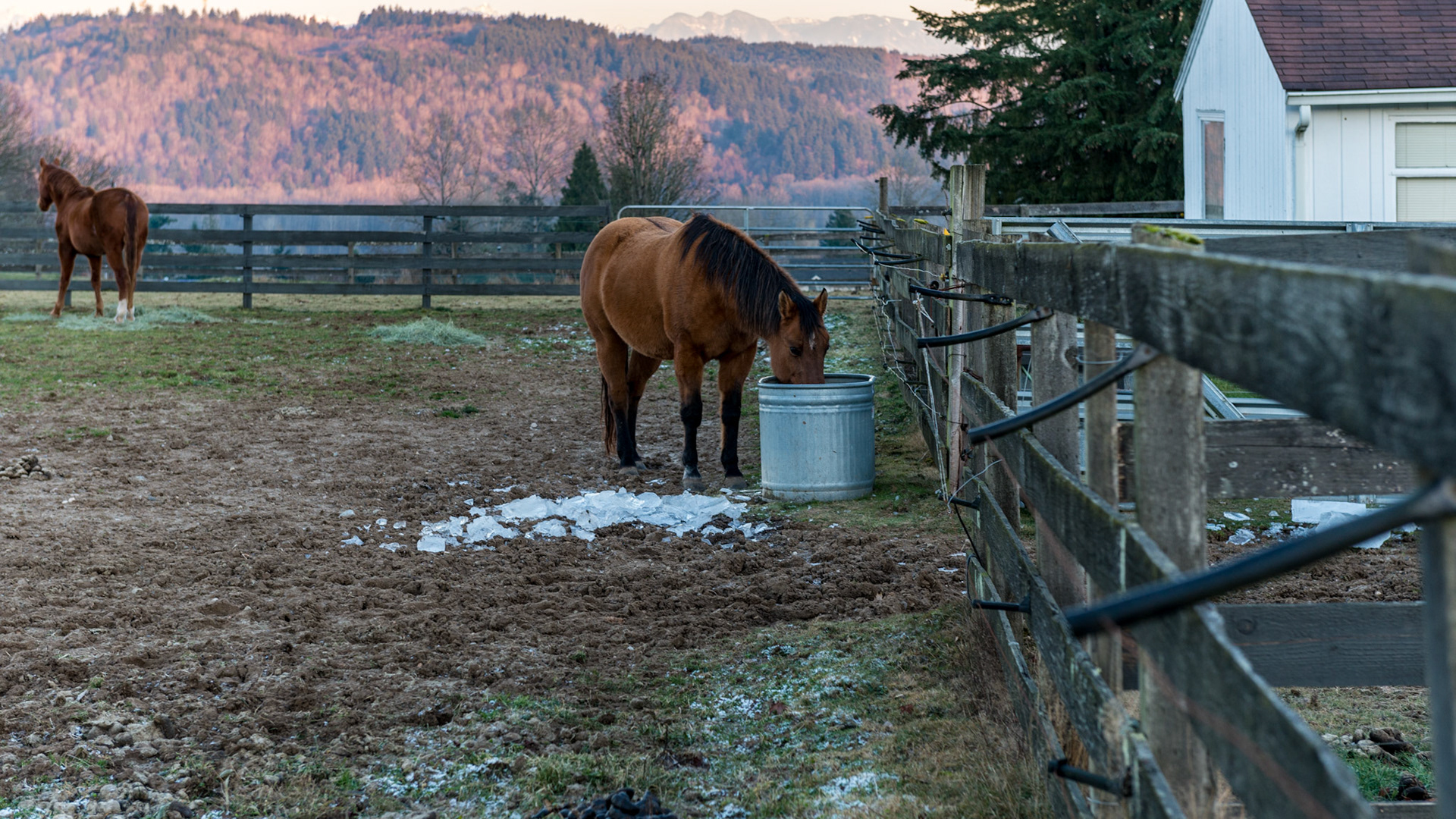 A horse can't drink frozen water. This must be remembered daily. There are devices to keep the water from icing. The best I ever used was a propane fuled stock tank heater. The horses would drink a lot of water if it was kept warm. Maintaining hydration is always good.