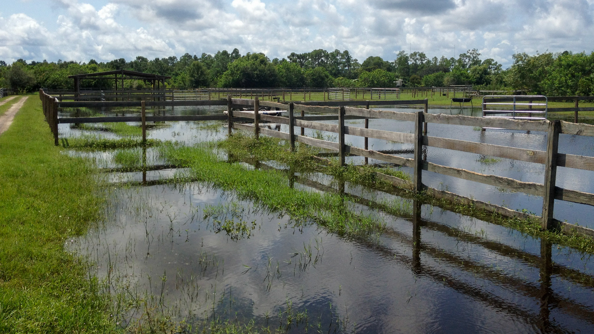 Seasonal pasture flooding caused by a neighbor's diversion ditch with no solution to the problem.