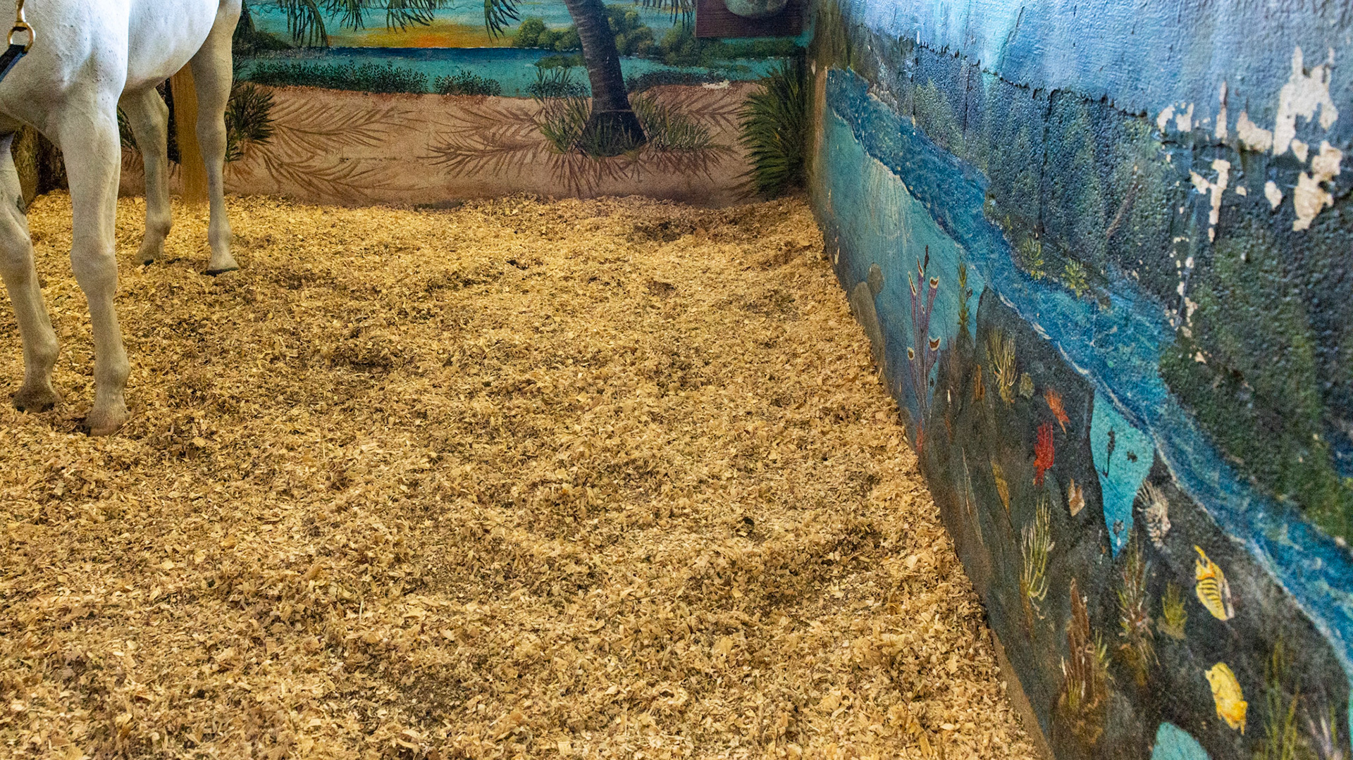 Hand painted mural by the horse's owner.  The painting was done 3 years ago and has maintained itself well with just some pressure washing. She is planning on repainting it this winter.