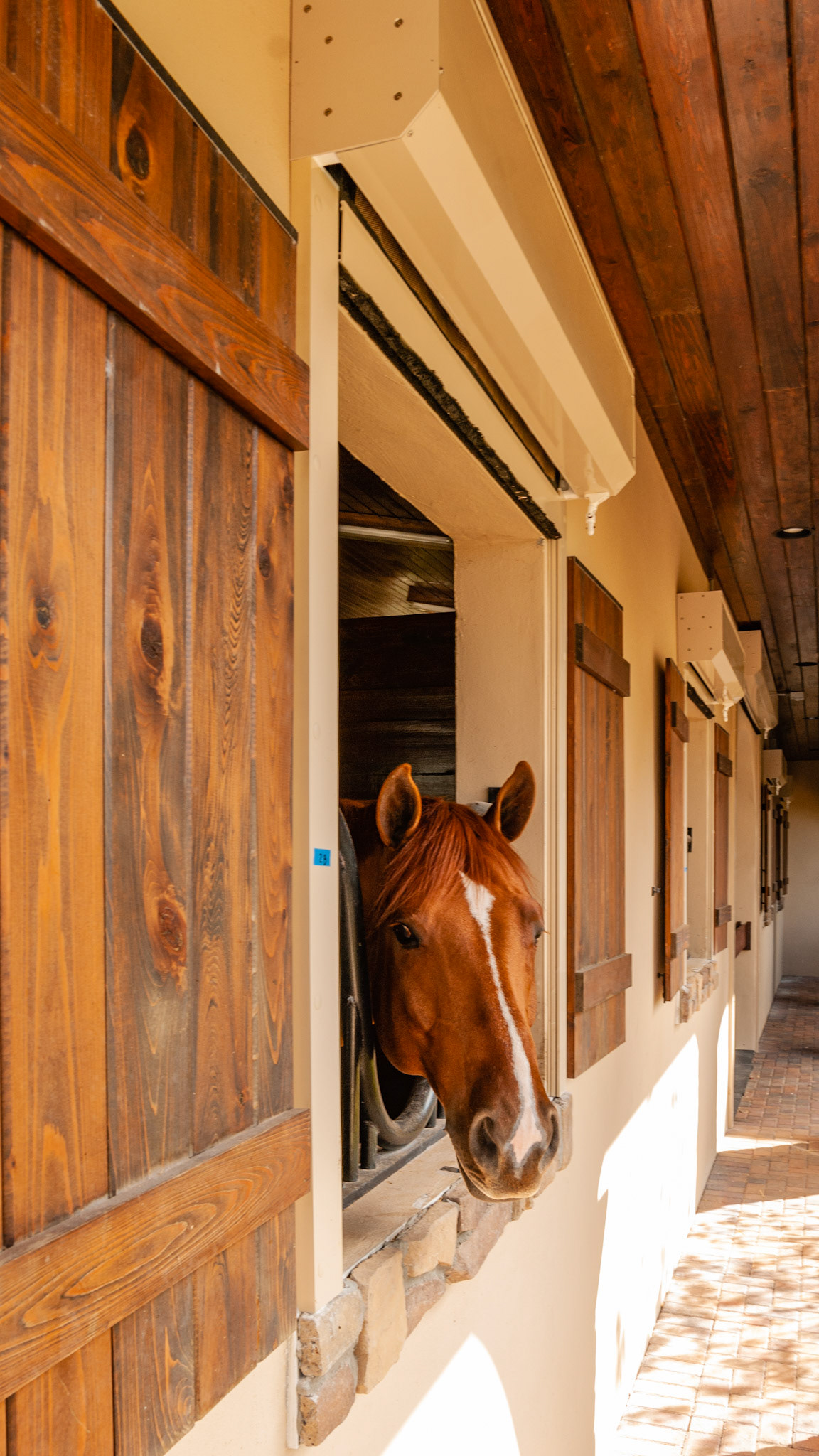 Hurricane roll up dories designed for each window.