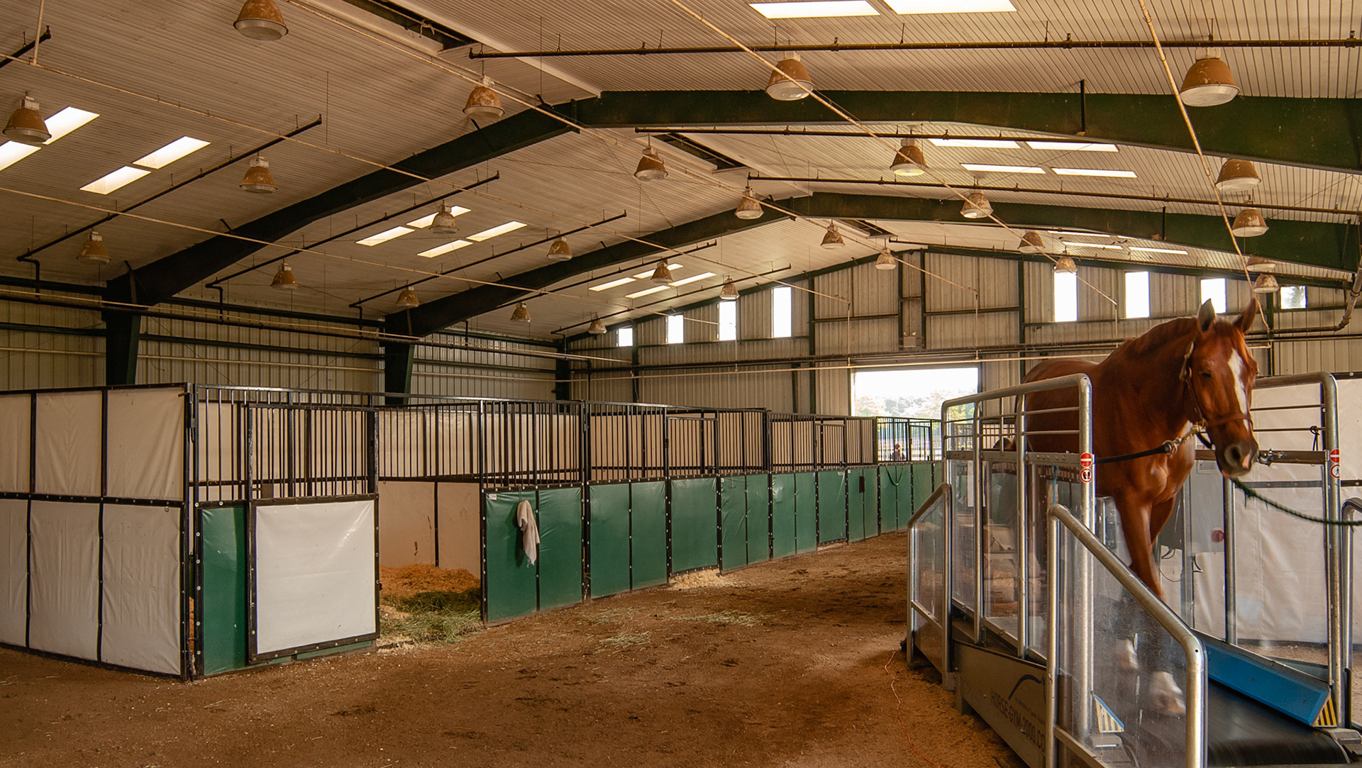Indoor arena converted into stalls with a treadmill.