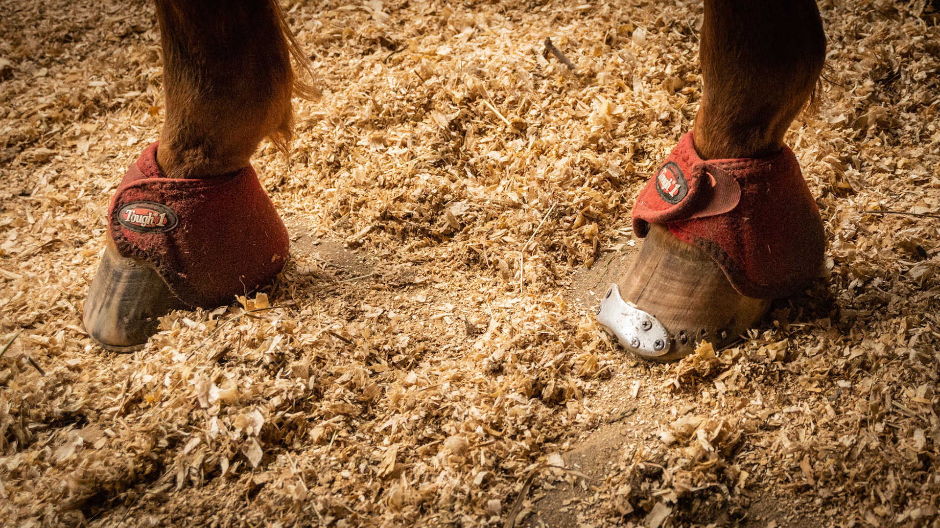 Toe crack after 4 years of attention including decompression, cleaning, and plate.