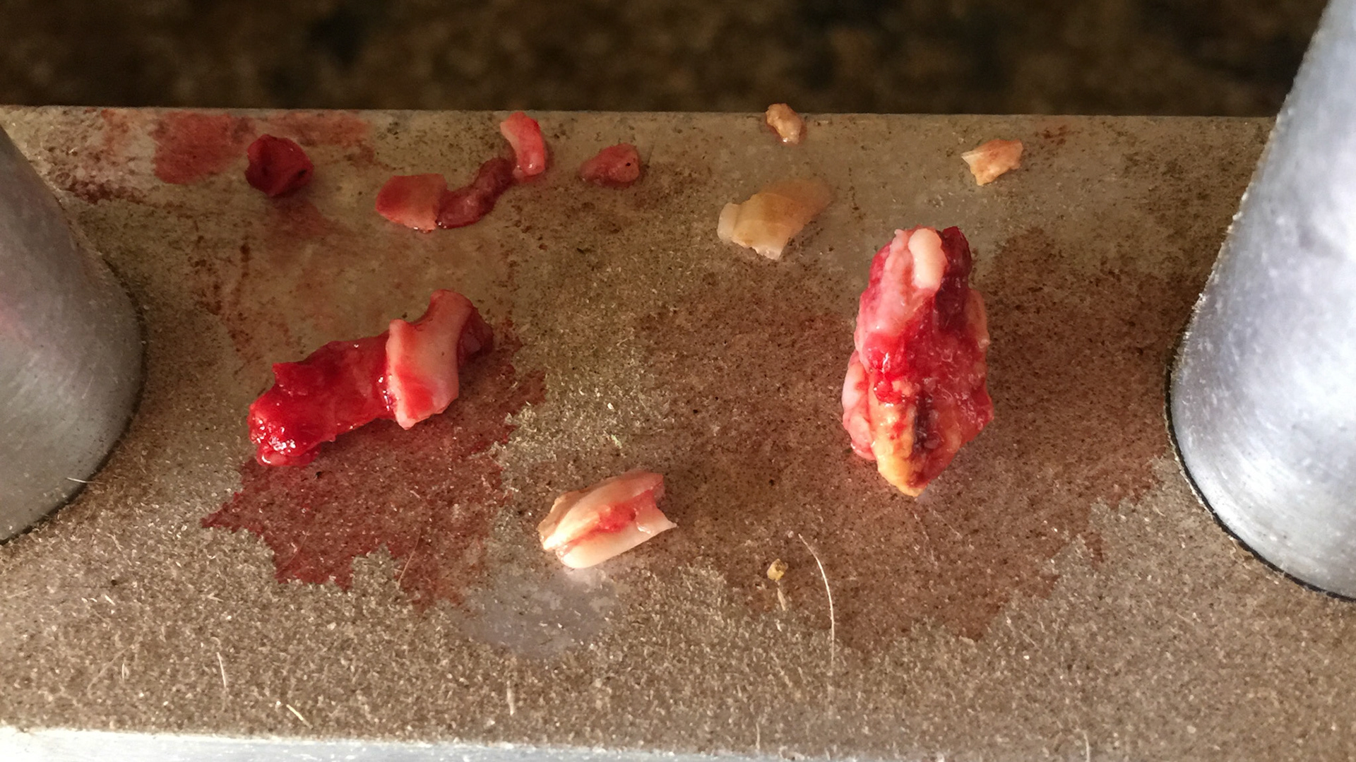 A variety of 1 wolf tooth, 1 cap and a number of cap remnants.