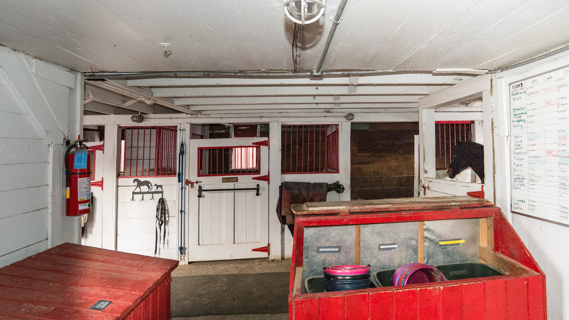 Stall interior in NY.  A barn feed room with containers that can remain closed to all but the most intrepid of loose horses.