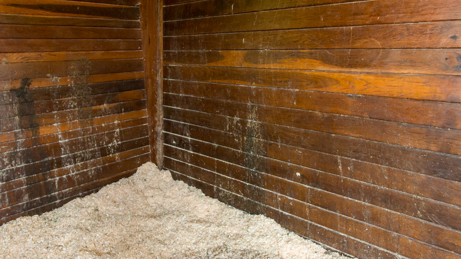 Diarrhea on the stall walls of an older retired horse that occasionally gets this for no reason. He eats only hay and pasture. It may be the July heat of over 90 degrees.