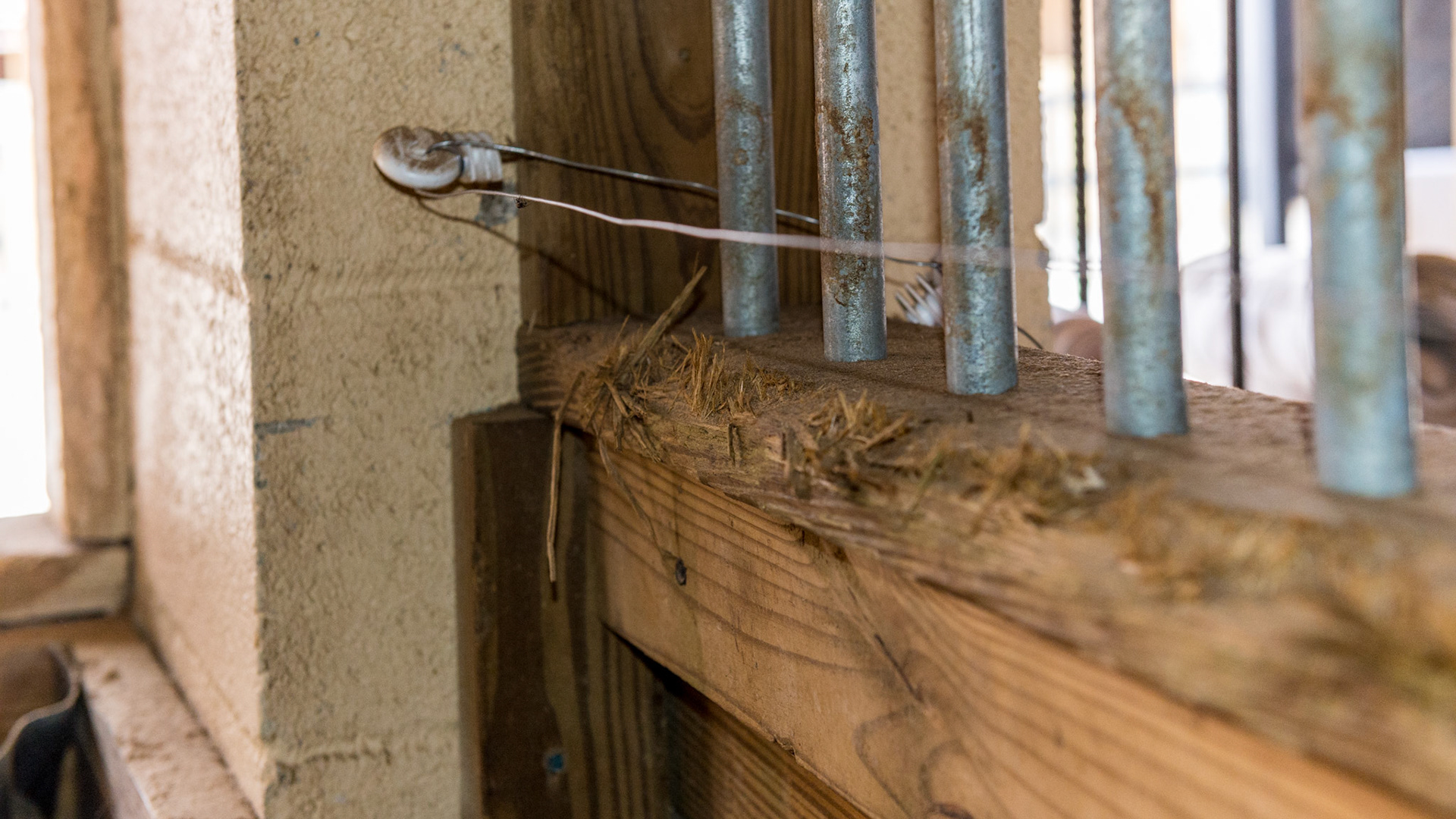 Horse A - He chews wood so an electric hot wire was placed along the edges where he chews.