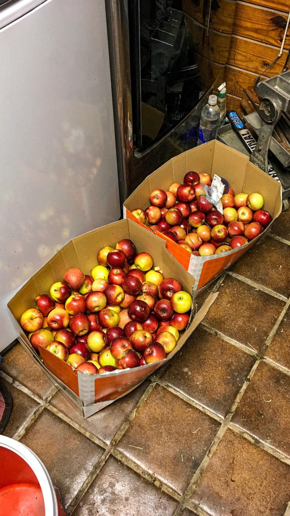 Boxes of apples in the feed room.