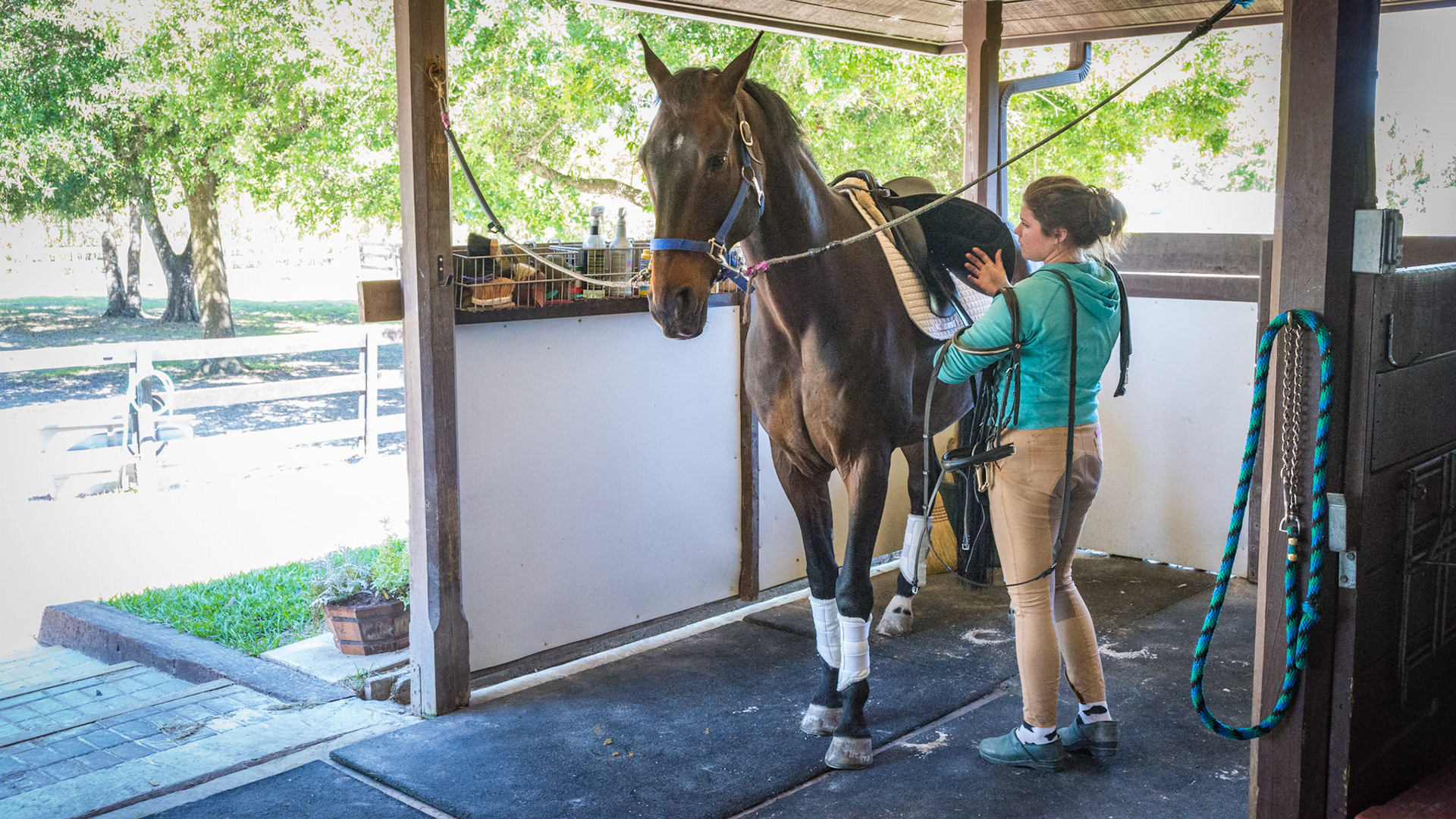 Grooming and tacking stall