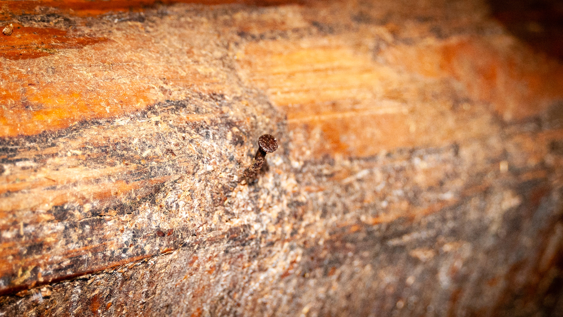 Exposed nails are common and can easily tear flesh and skin.