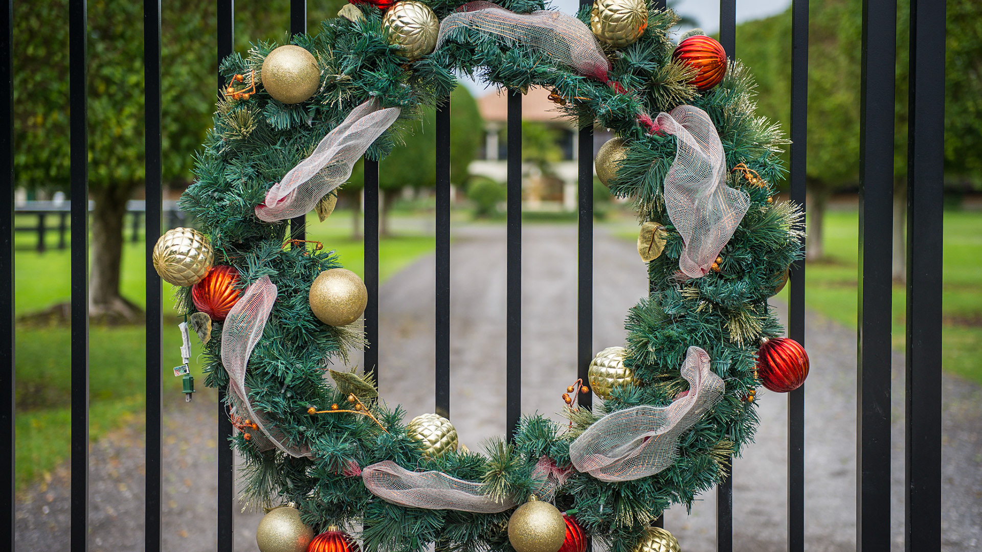 Christmas decorations on a farm.