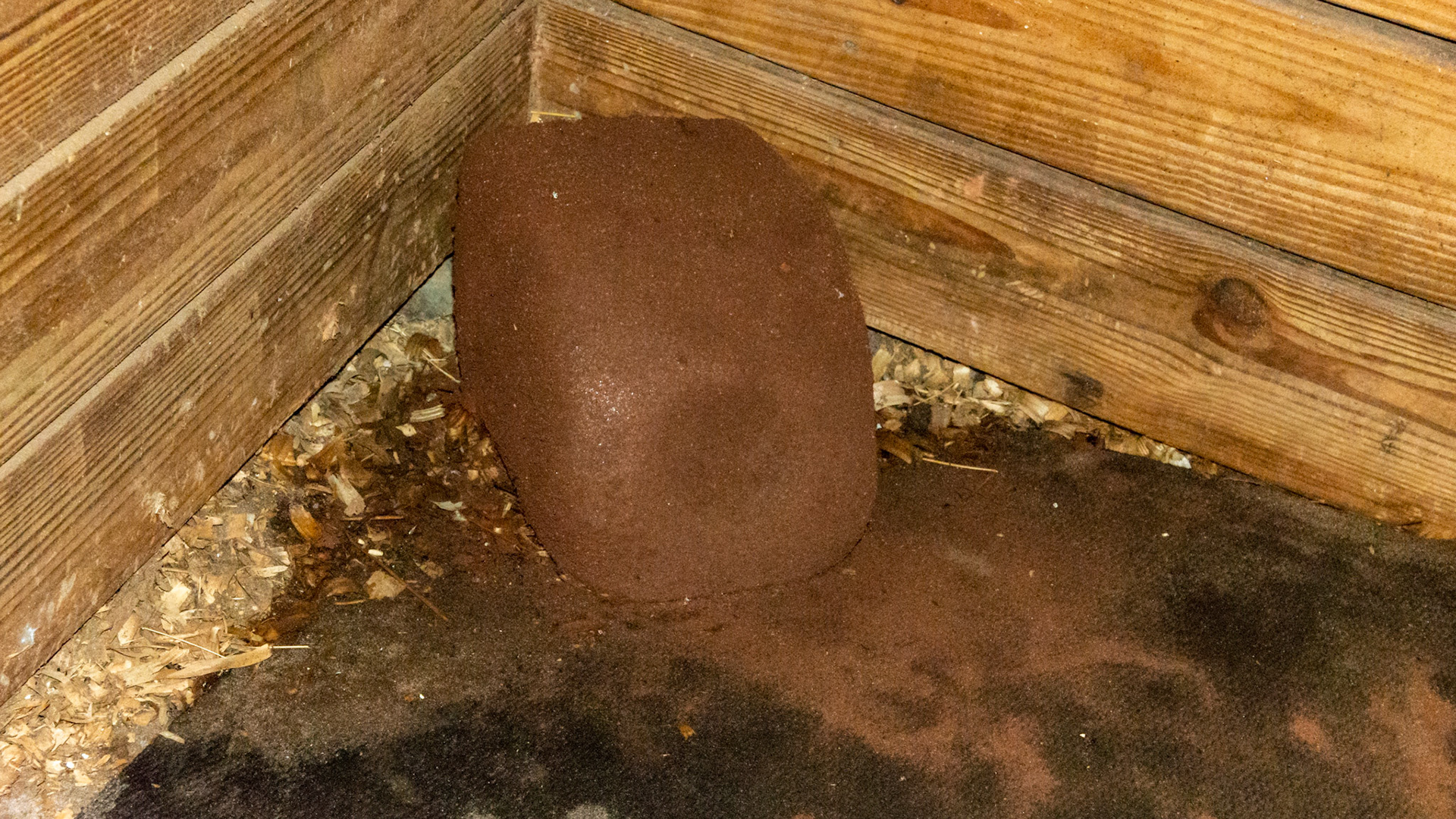 Trace mineral salt block in a stall