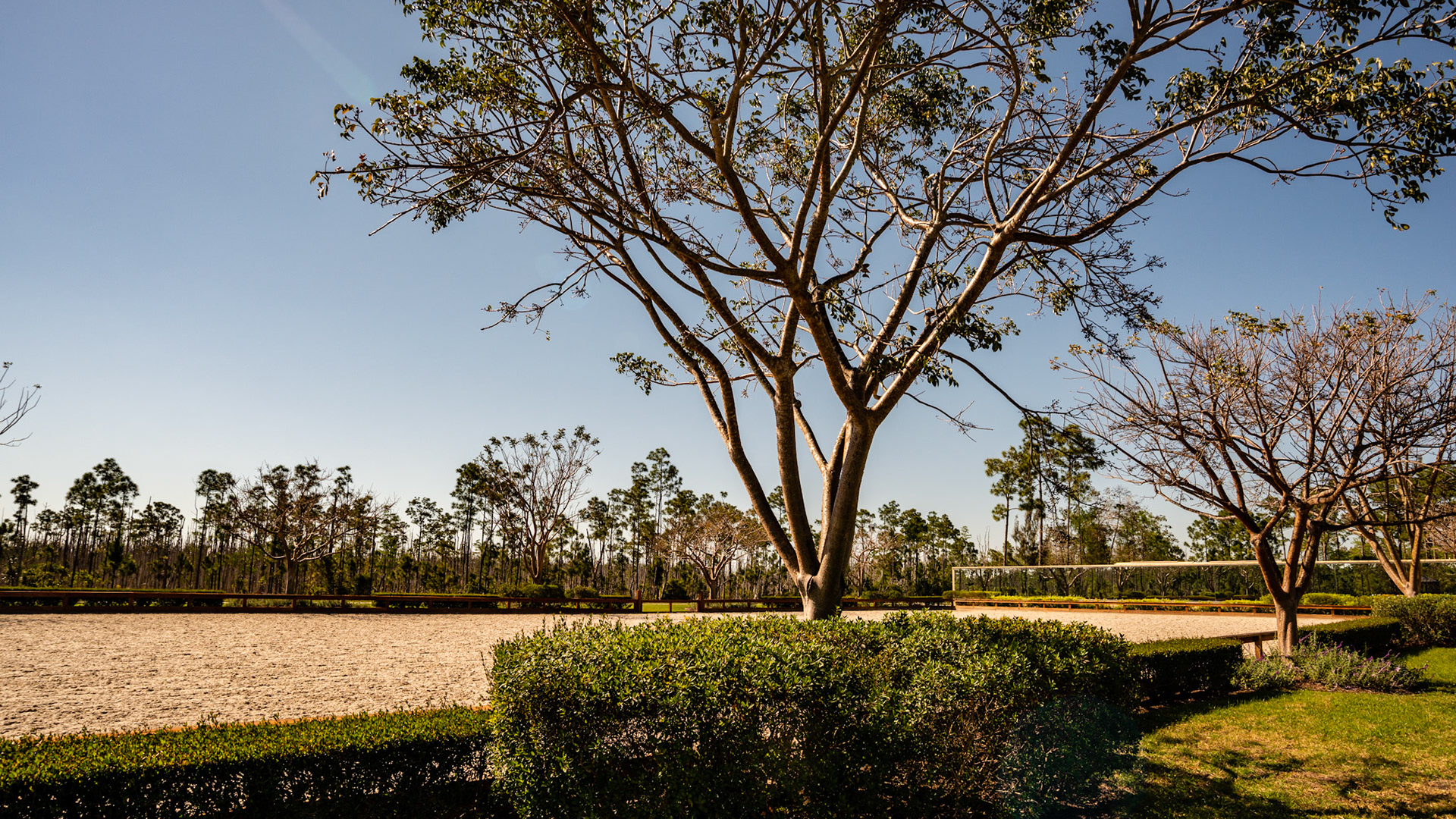 Lake Worth, FL arena with a mirror wall.