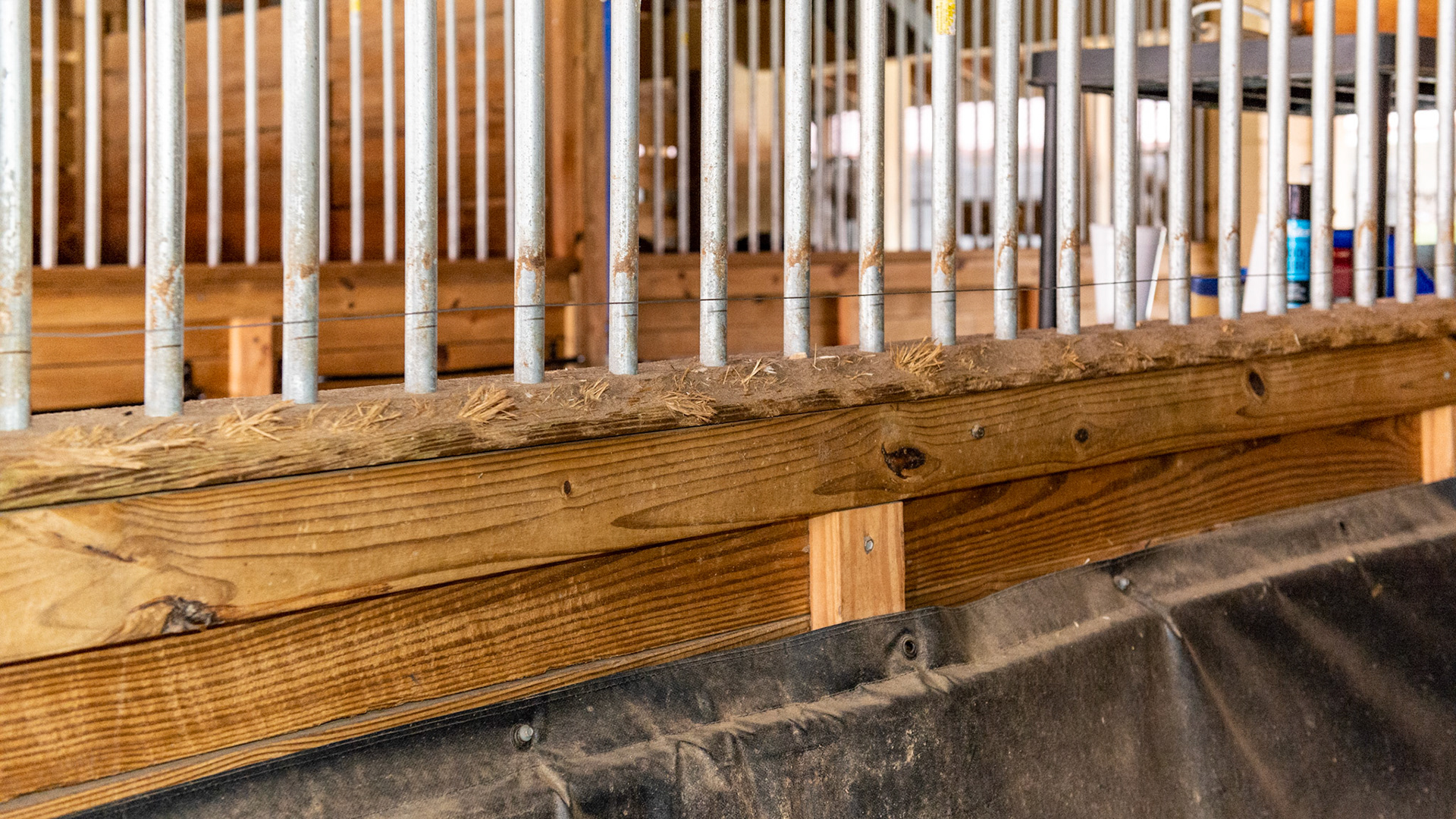 Horse A chews wood so an electric hot wire was placed along the edges where he chews.