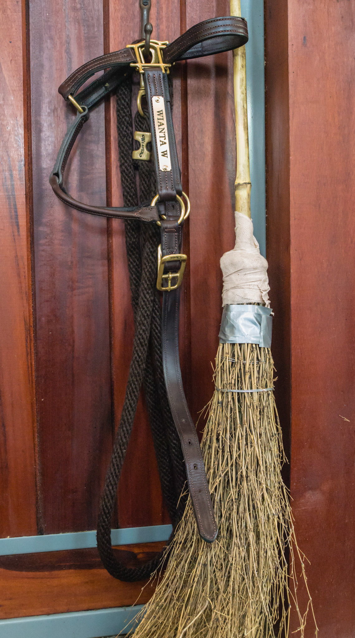 Witch's broom in a barn in Wellington, FL