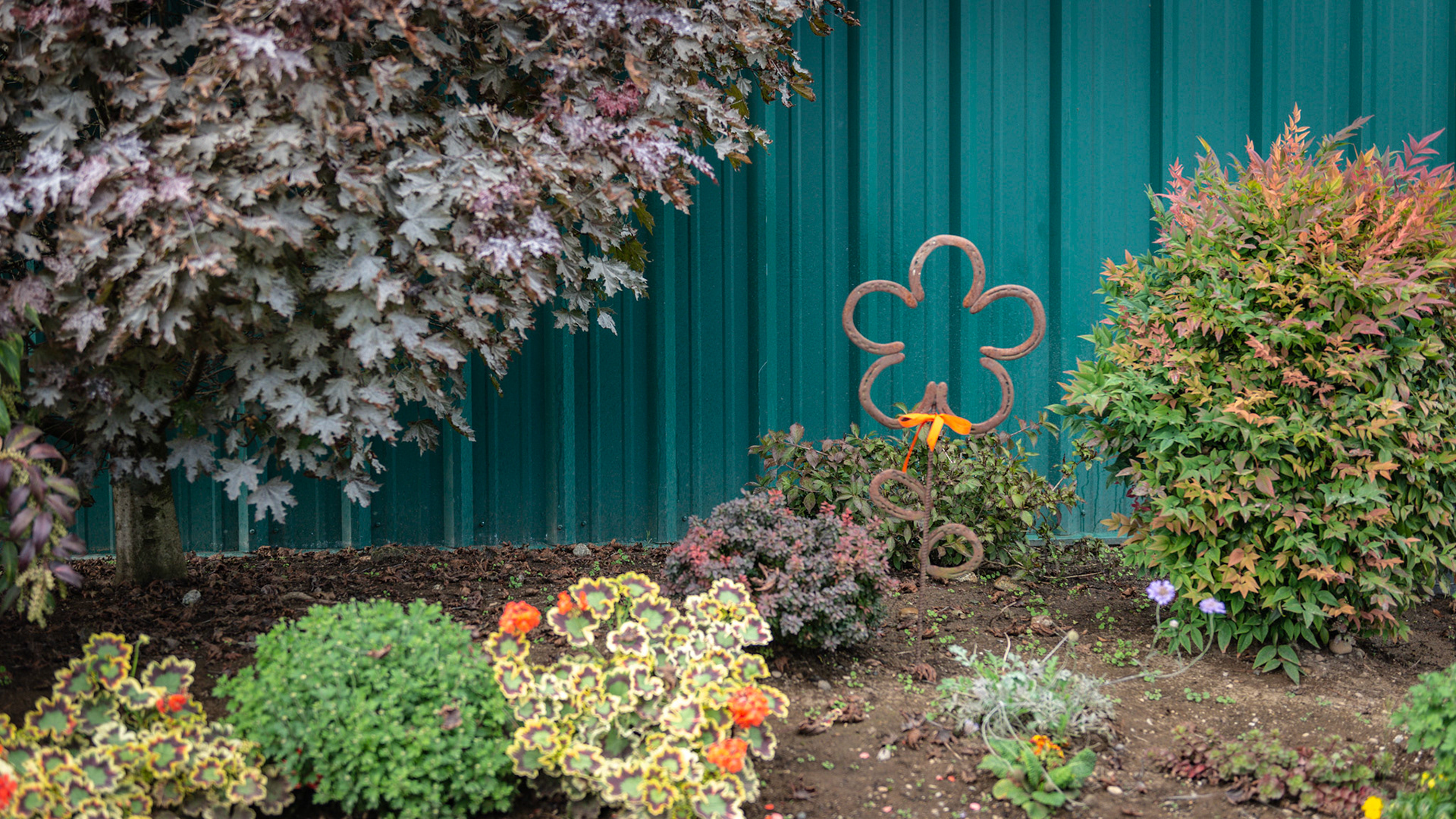 Autumn scenes at a farm in WA.