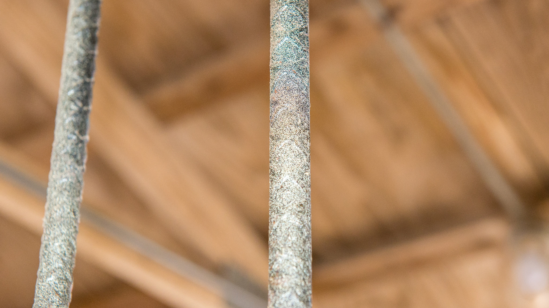 These vertical solid metal bars could be rubbed against to cause the groove seen on the lower incisors of the cribbing horse.