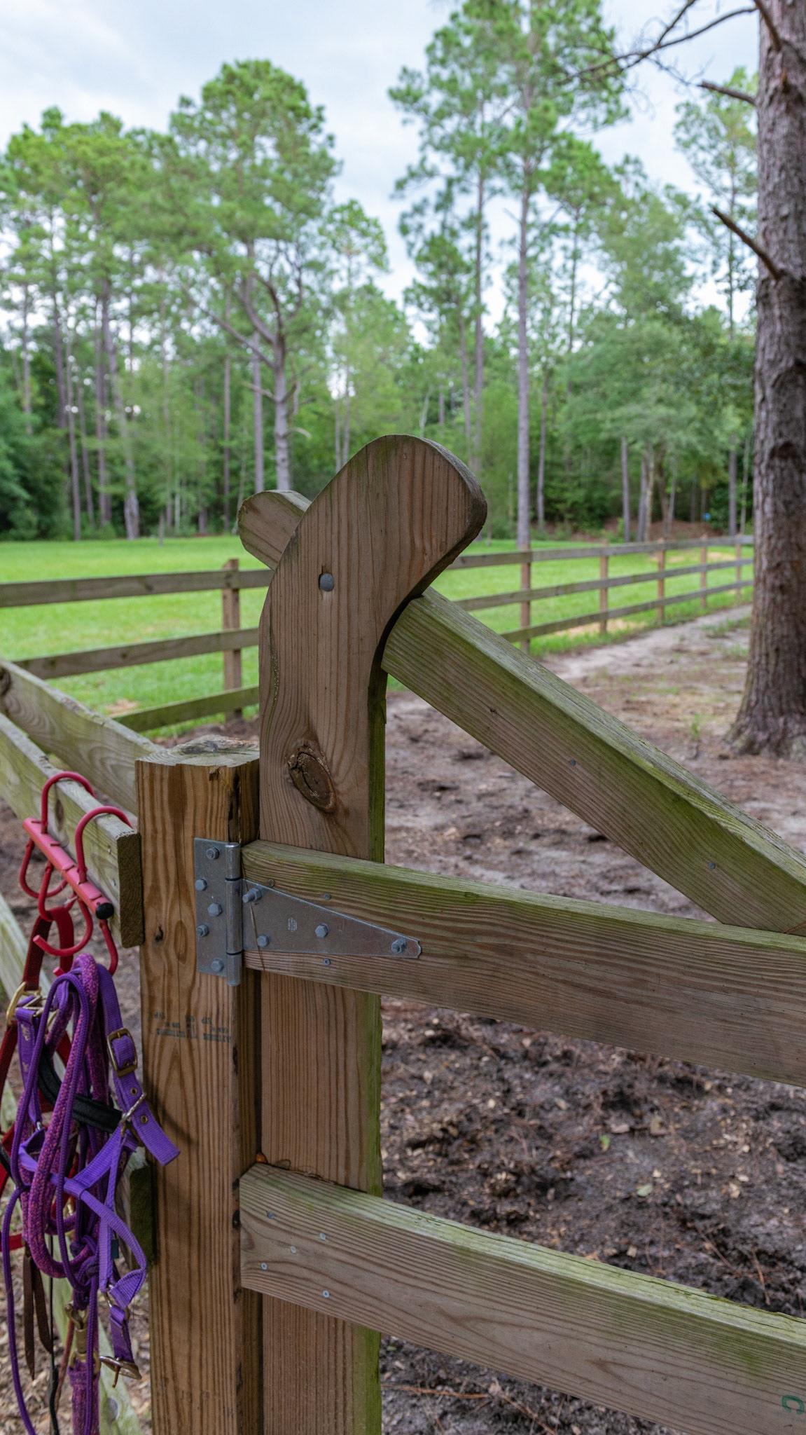 An old English style gate recreated on this Florida farm.