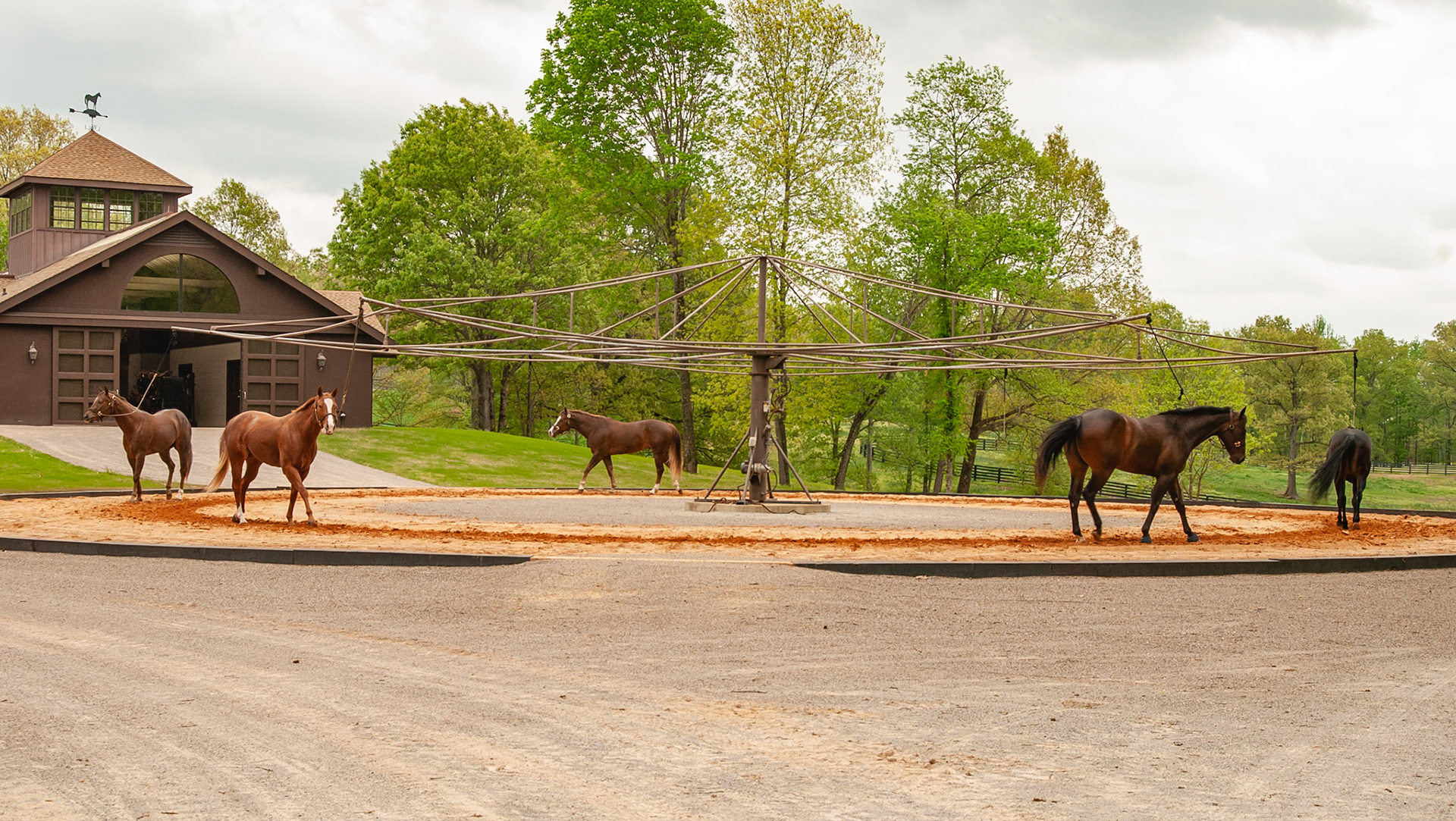 Outdoor walker with no walls or fence.  These are common at race tracks when they were used years ago and called hot walkers.
