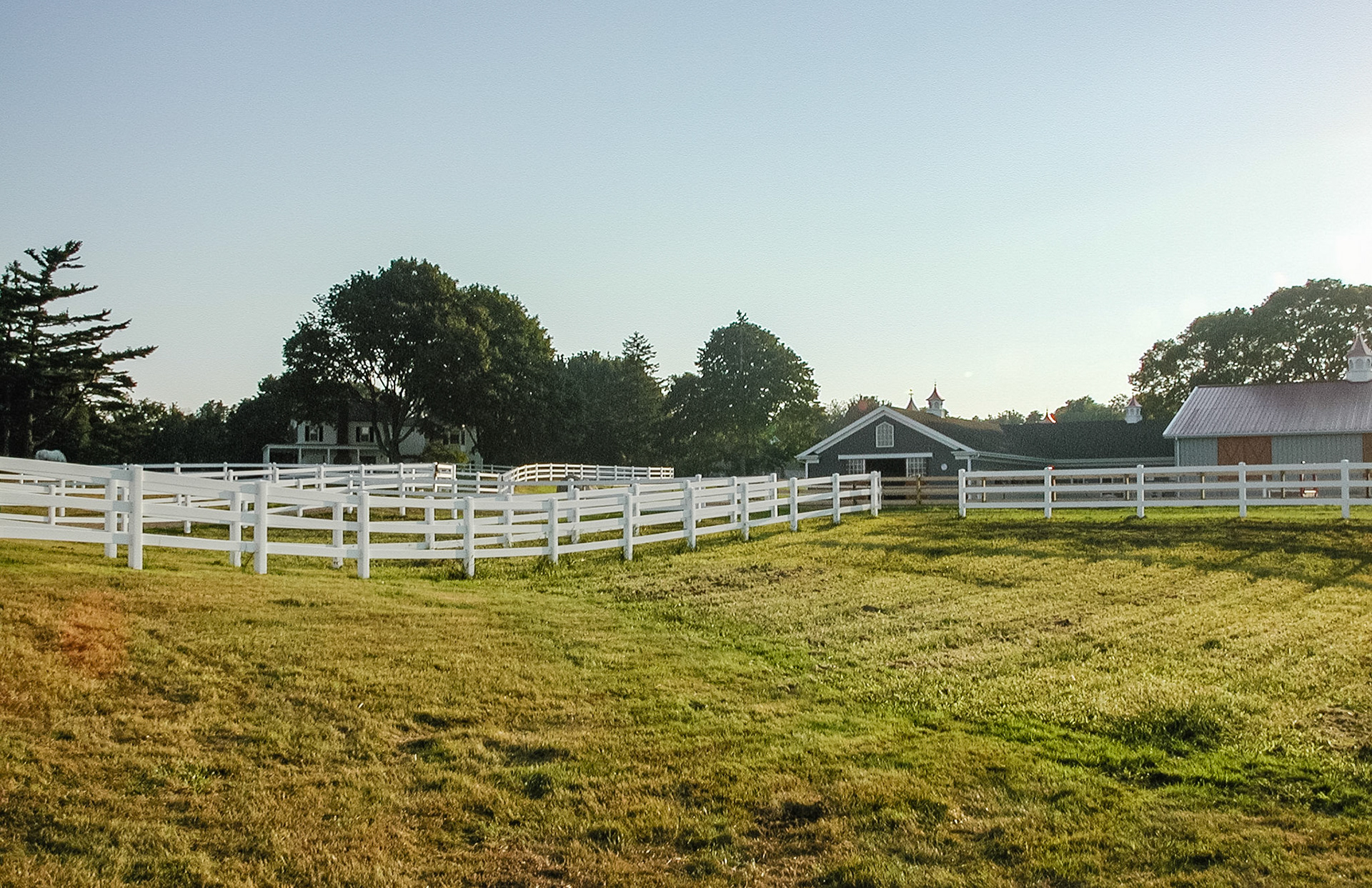 Summer pasture of predominantly one type of grass (mono grass) - freshly mowed.