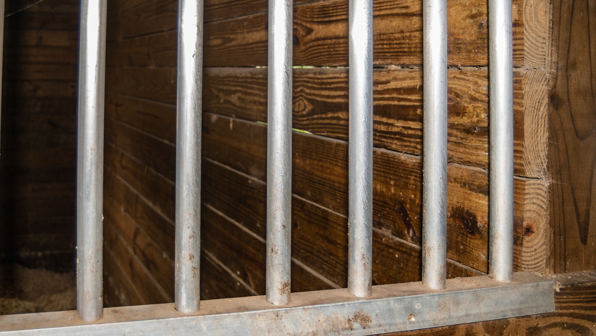 Stall dividers are often vertical bars.  Unfortunately several horses have broken their jaw when biting them and then suddenly twisting their head before removing the jaw from the space.