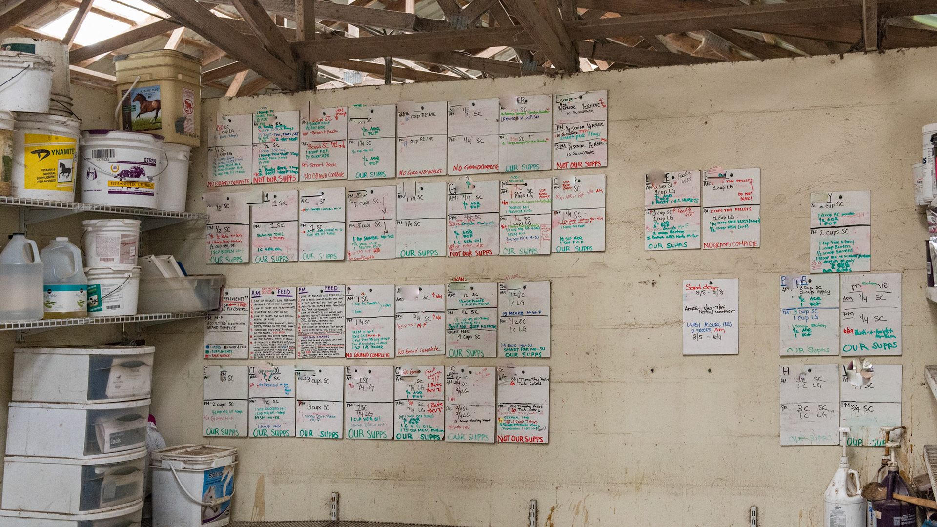 Highly organized feed room. Horse's names are obsured by request of the barn owner because she prides herself not only on her organization, but in her integrity of confidentiality.