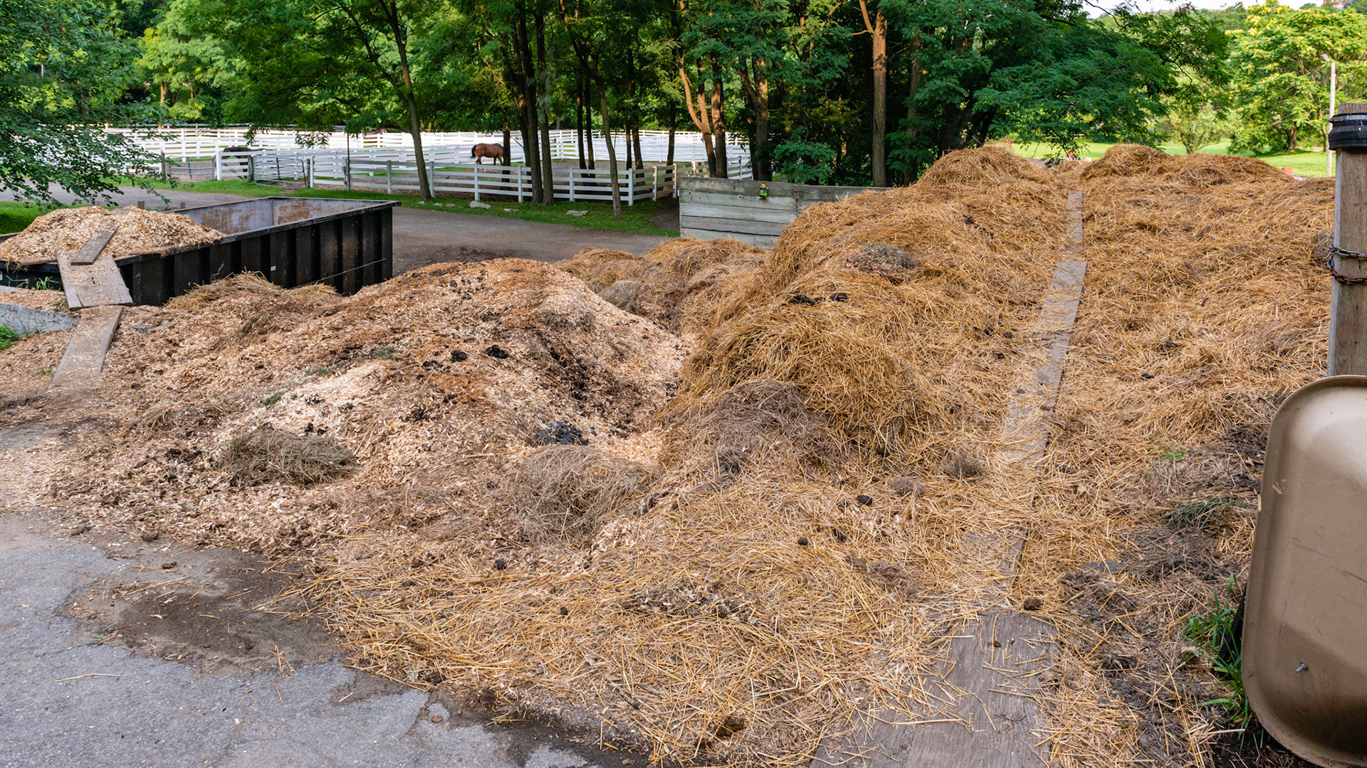 Overflowing manure pit with boards laid to help wheel barrows add more.