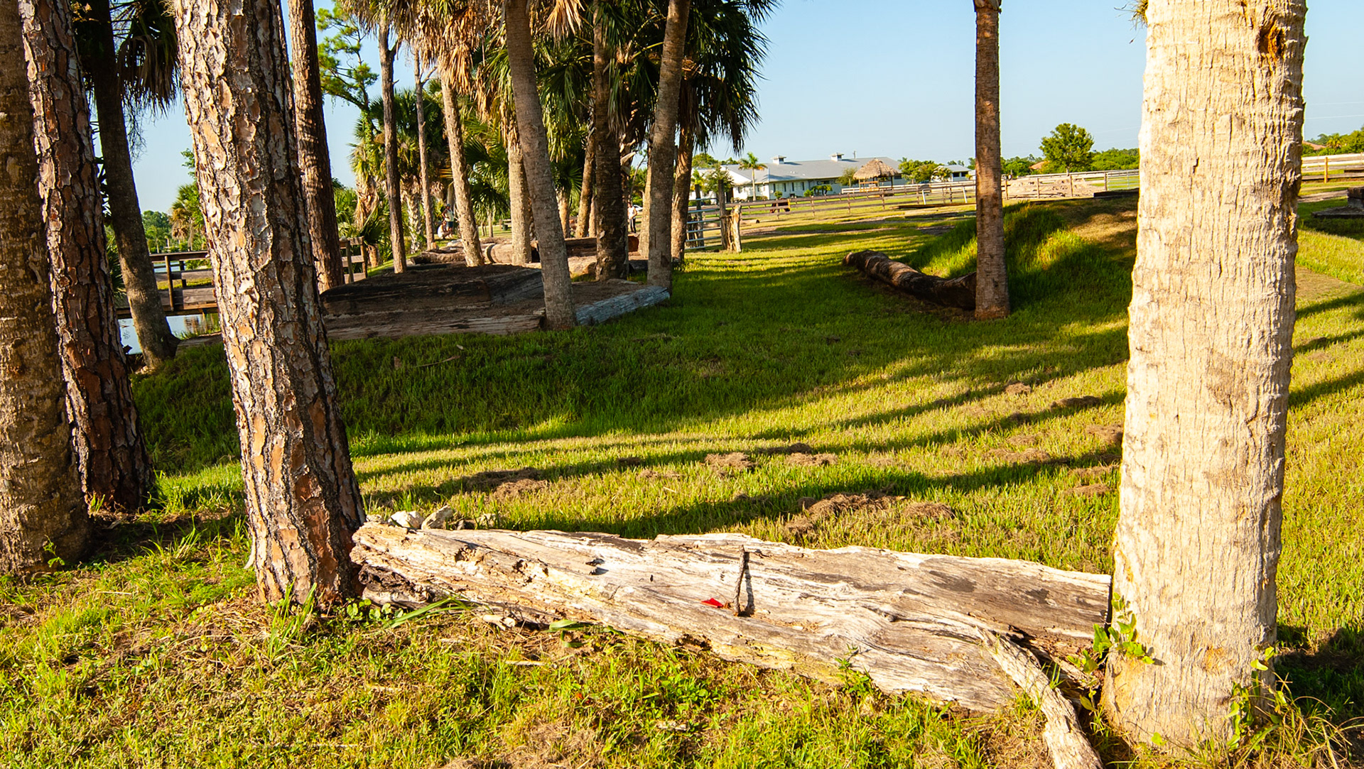 An extreme trail system in Florida about a mile from my home.