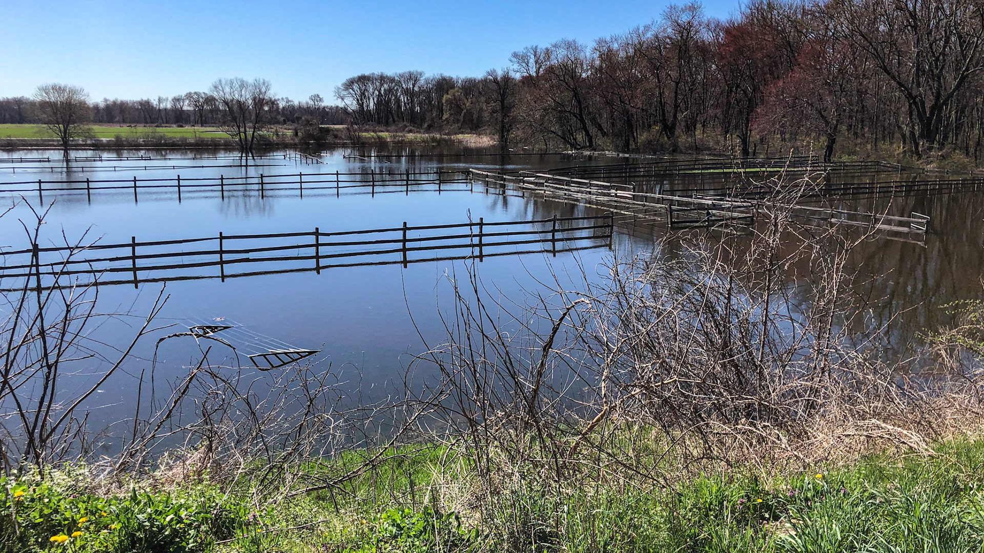 Flooding from the creek is an annual loss of pasture use on this farm.