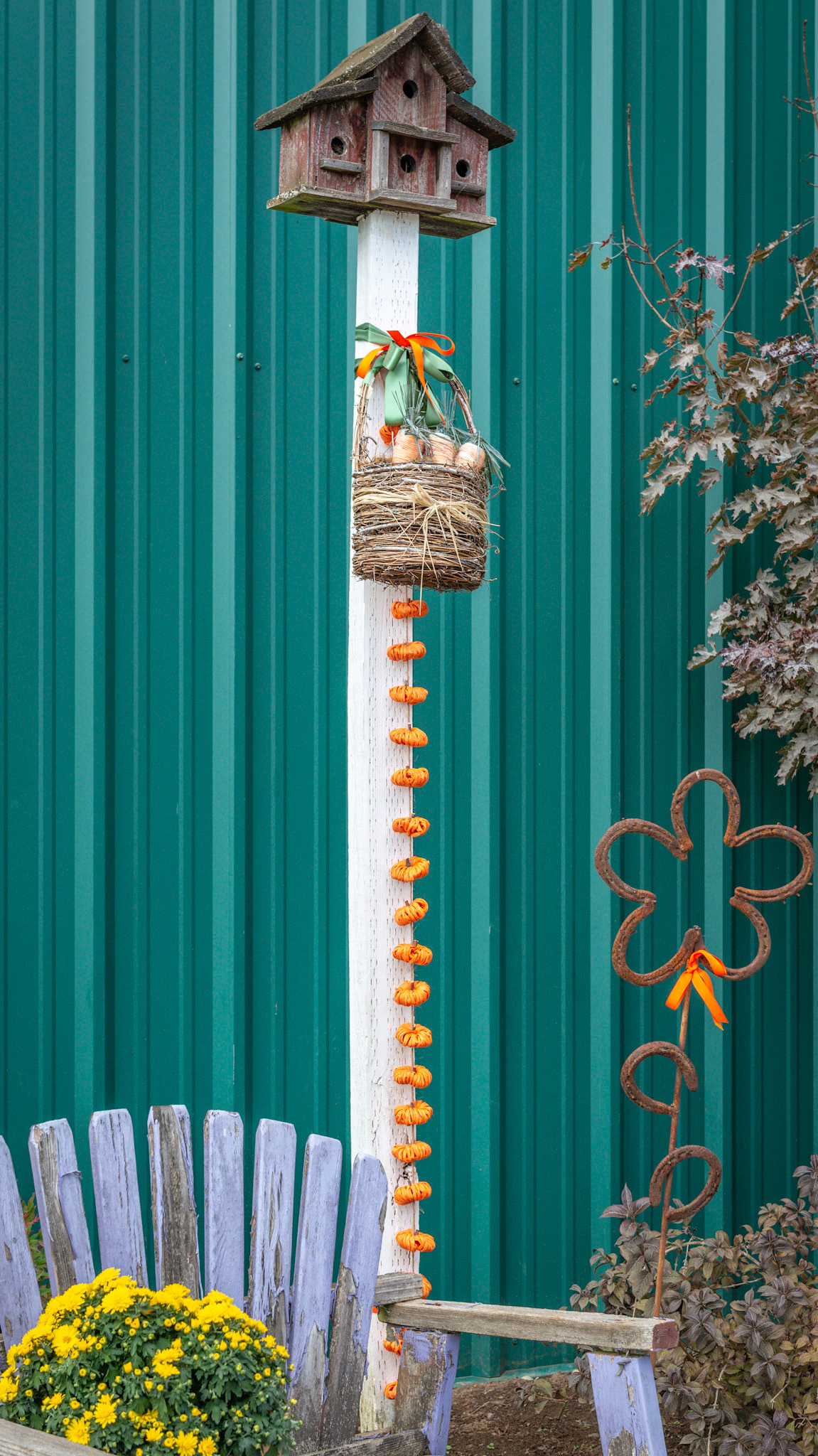 Autumn scenes at a farm in WA.