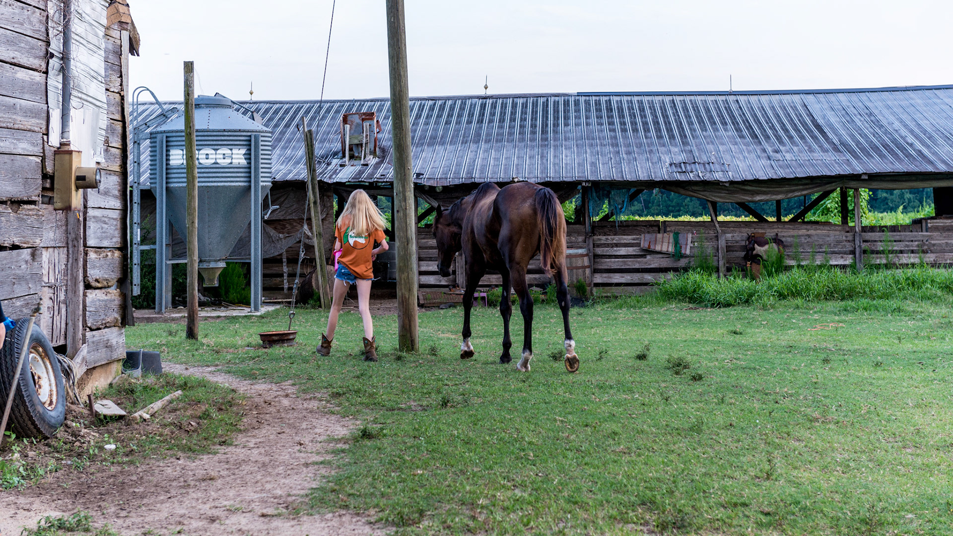 This series of 3 pics - a rescued TB that has gained weight and loves his grain is being led by this young girl with a bucket of grain. He understands and probably won't knock her down - maybe - but add just 1 horse and this is an accident where she becomes an innocent victim of 2 horses fighting for grain.