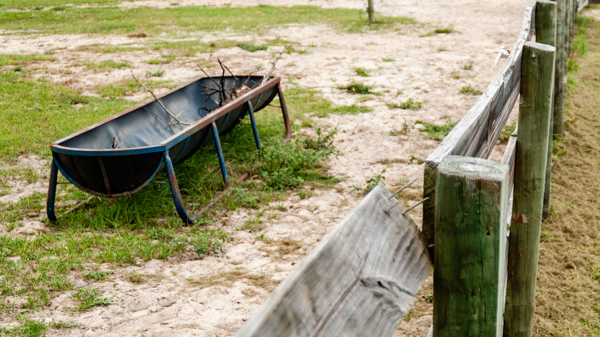 The board is almost twisted off.  When if falls the nails will be exposed to the curious horse.  Note the debris in the feed trough.