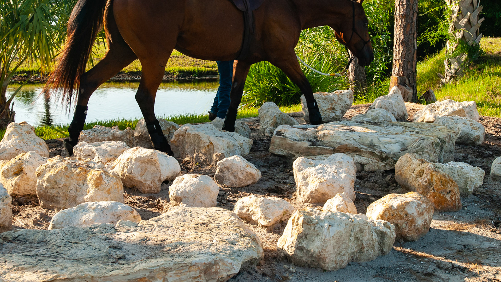 An extreme trail system in Florida about a mile from my home.