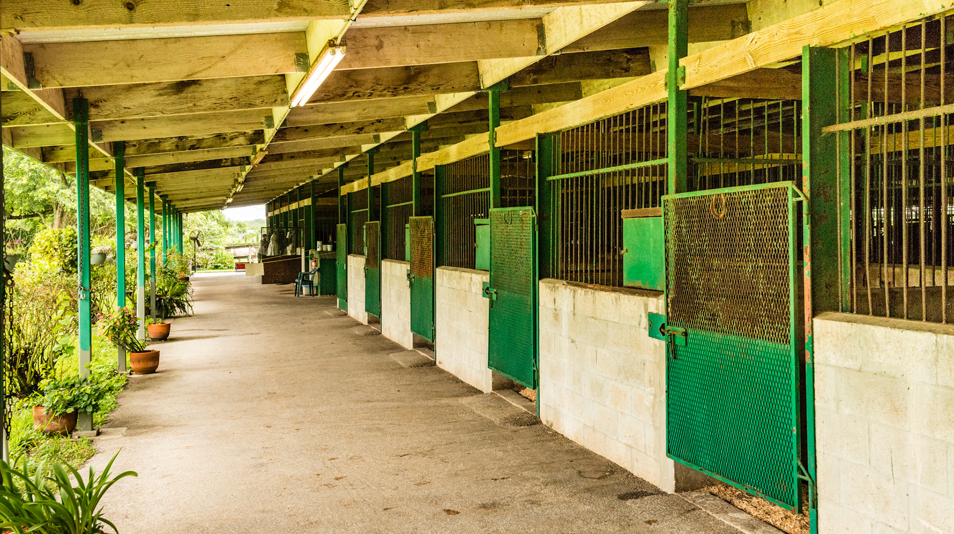 Barn with cement stall walls and floors