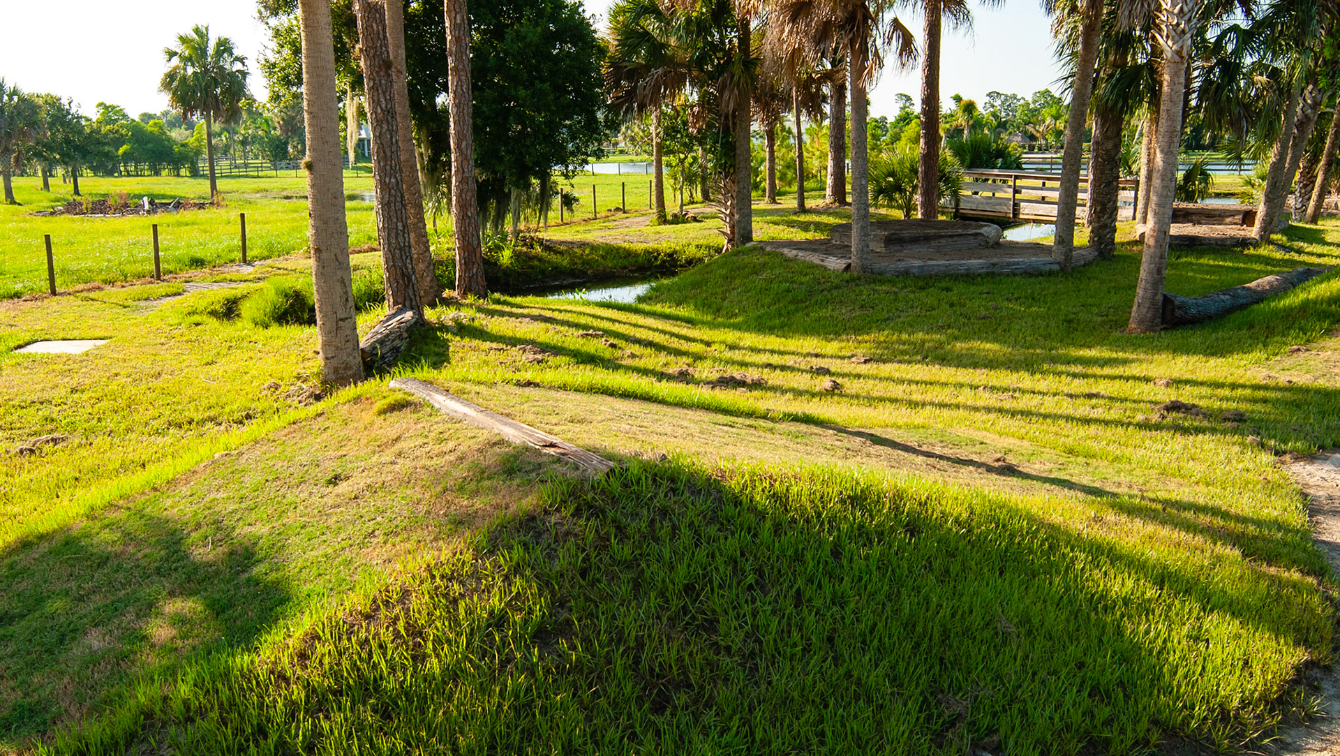 An extreme trail system in Florida about a mile from my home.