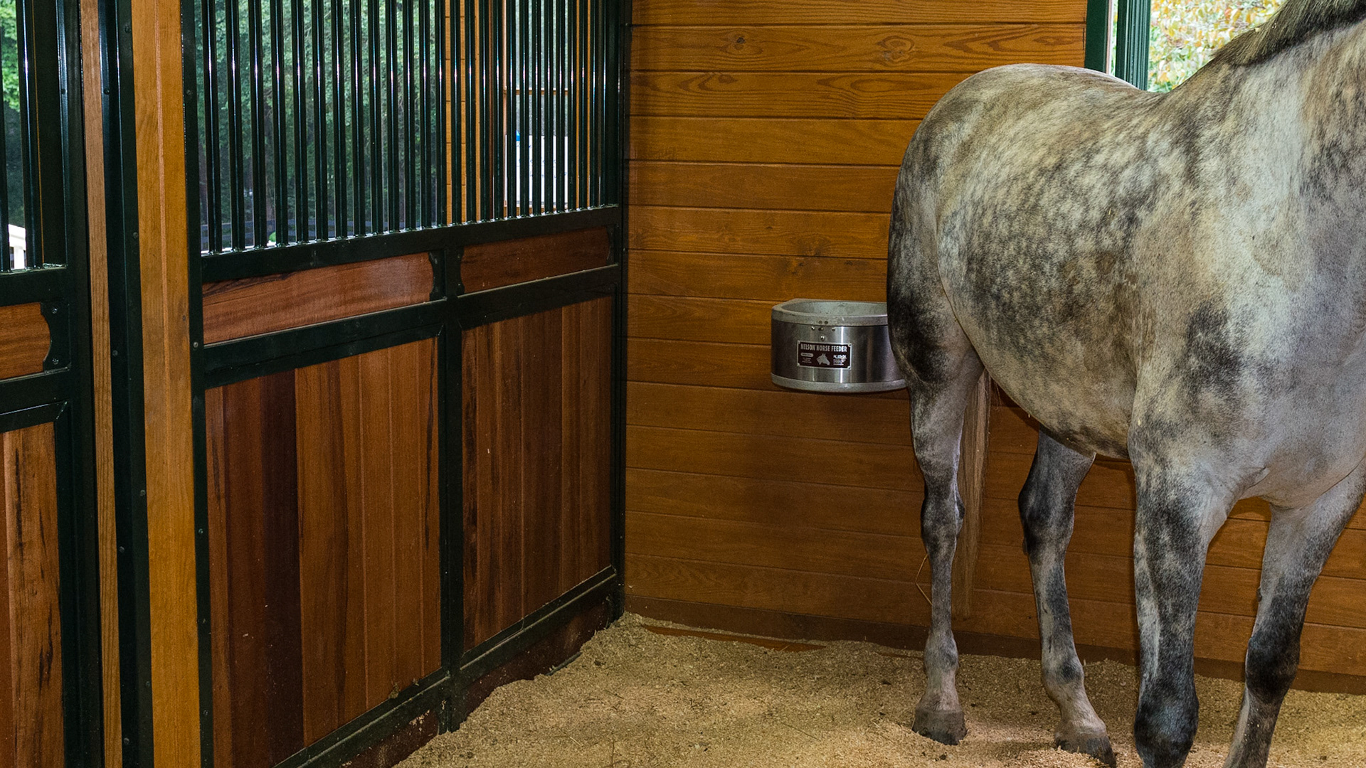 This owner places the feed tub in the back of the stall forcing the care taker to walk through the stall and observe the horse when feeding.  The horses are trained for this, but it can be dangerous if the horses are food aggressive.