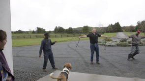 Lead 2 horses at the same time