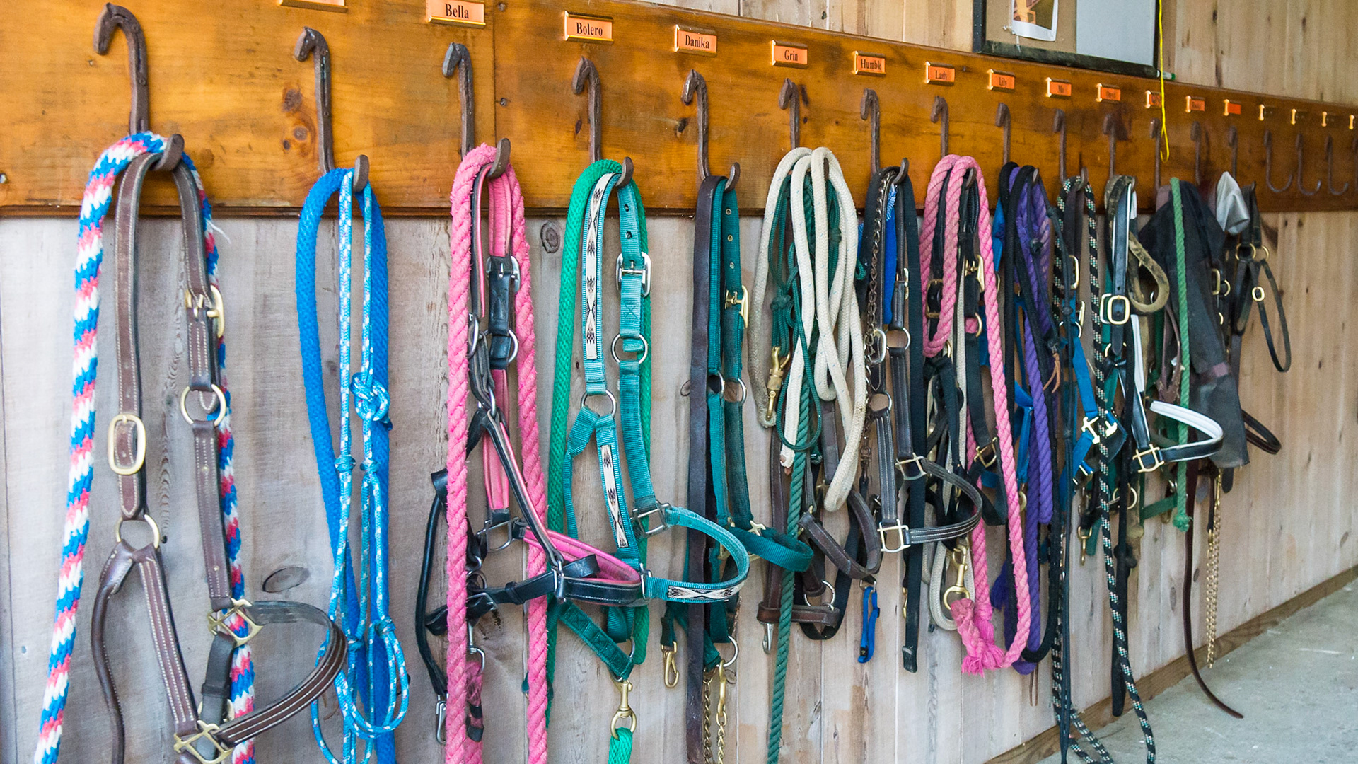 Custom made hooks with name tags help organize the halters and leads in this barn, though it adds many steps in a day of work.