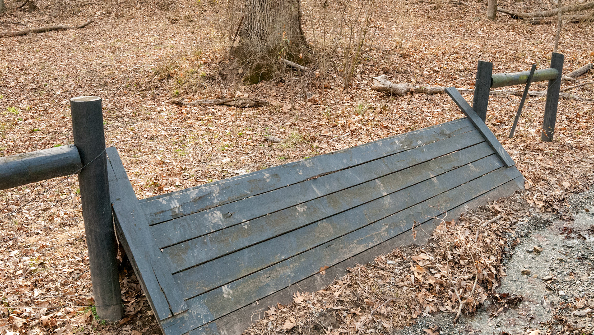 A cross country jump built into a fenceline.
