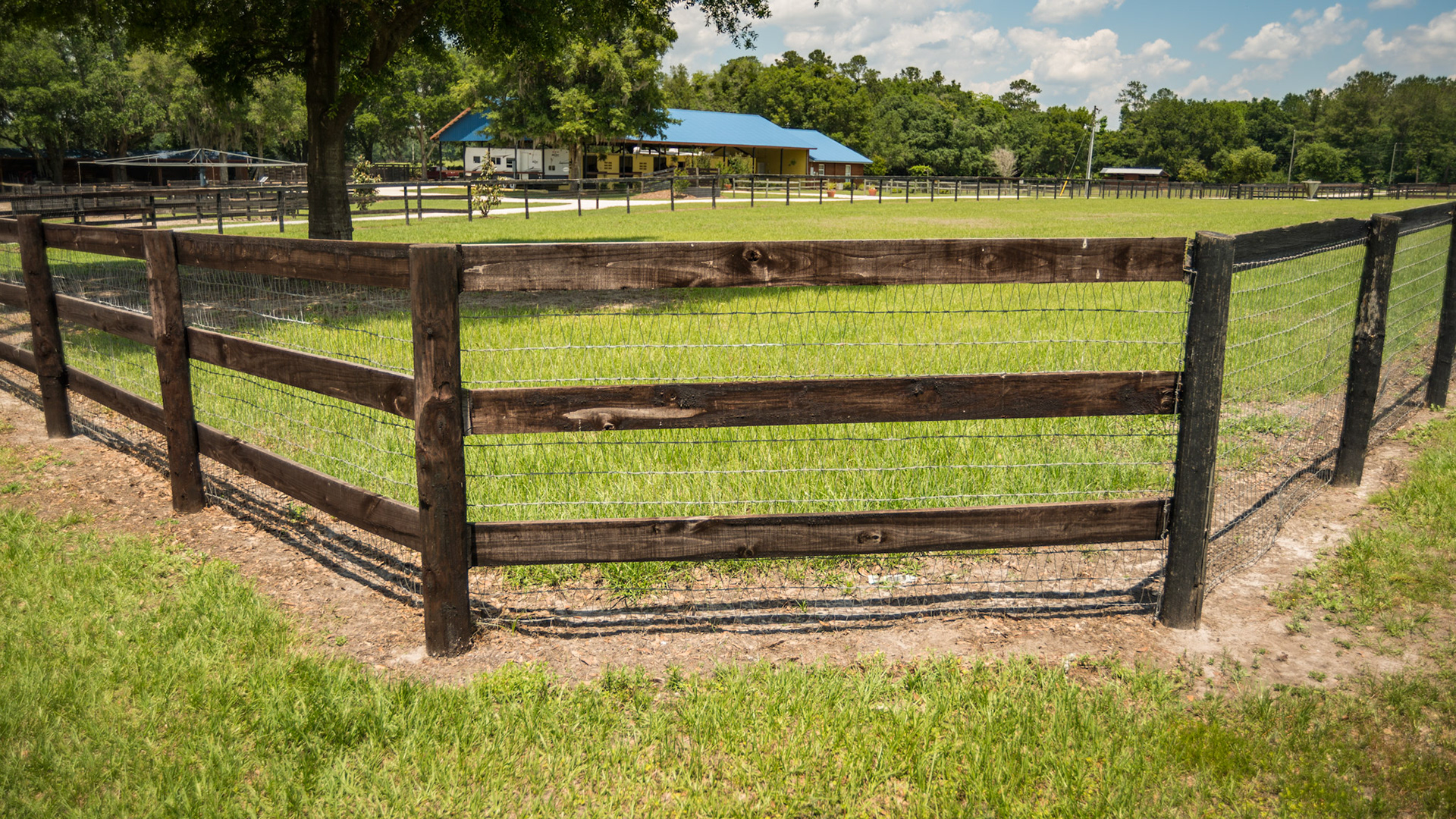 Diamond mesh woven wire fence with 3 board fencing.  This paddock has a curved corner which helps a horse to avoid being trapped by another horse in aggressive movements.