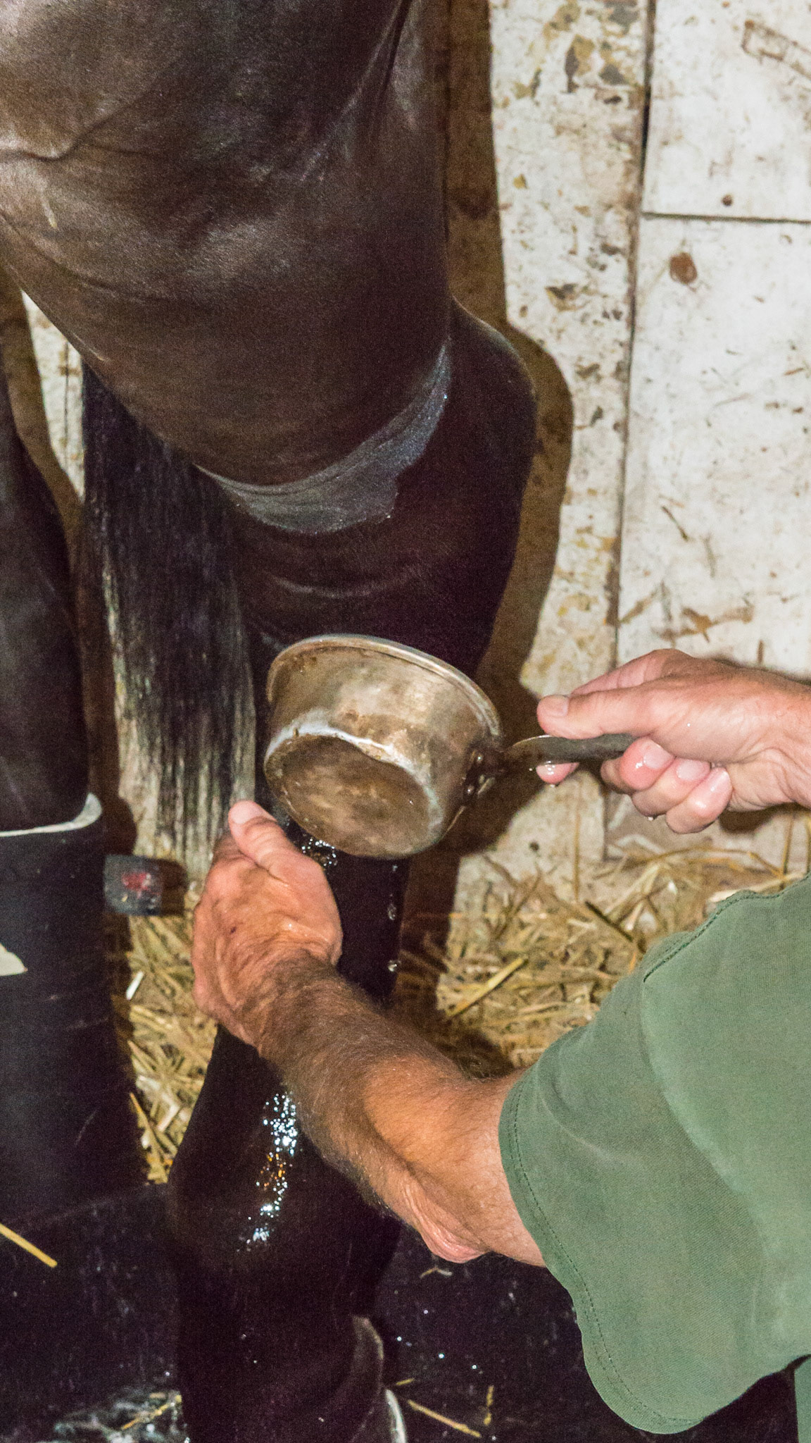 Hydrotherapy when the horse can't walk to the hose. This is a traditional race track method of removing heat from a limb.