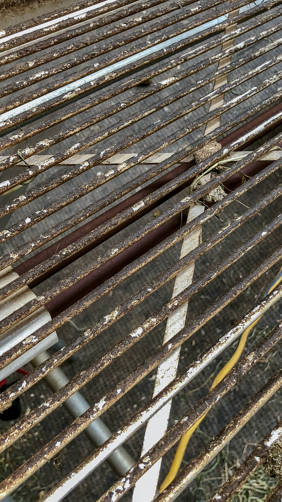 The Shaker is a noisy device run by a high speed drill that sifts the dirty shavings allowing the small dry flakes to fall back into the stall while the larger manure balls roll into the wheel barrow.  With a bit of time, the wet flakes become dry.