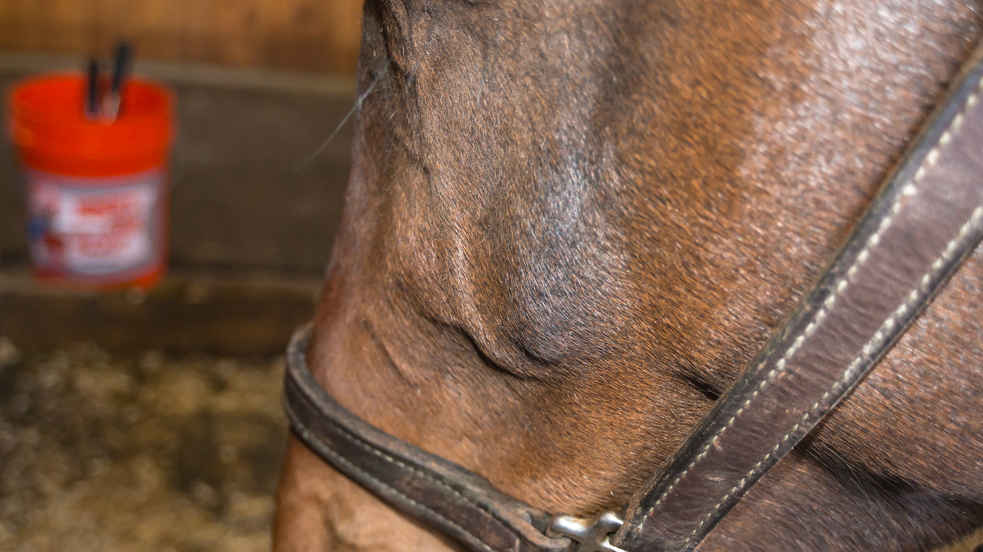 Maxillary eruption lumps