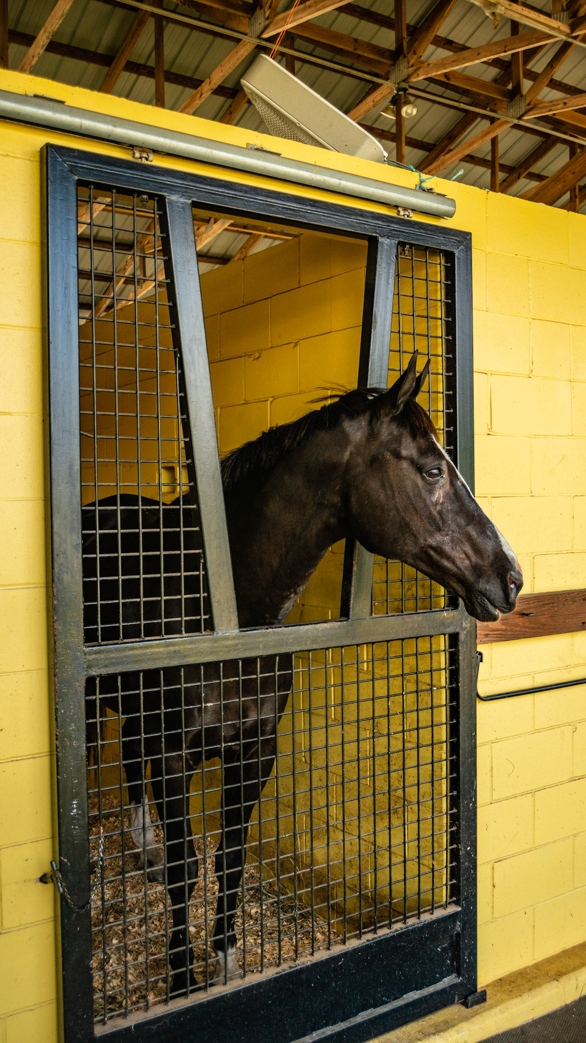 One piece steel rolling stall door with a cut away for the horse to hang his head out of the stall. This design is sturdy and provides for ventilation from the top to the bottom. There is no space at the bottom for a hoof to get caught.