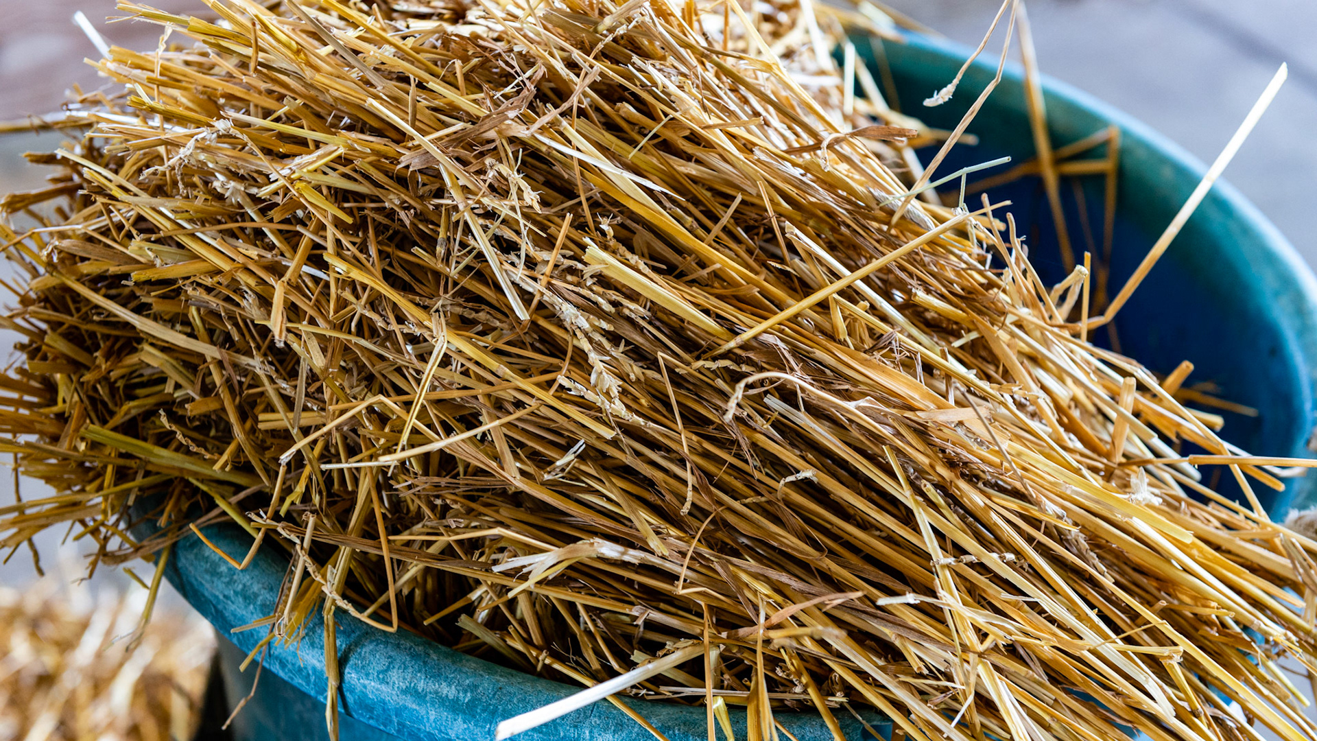 Rye straw